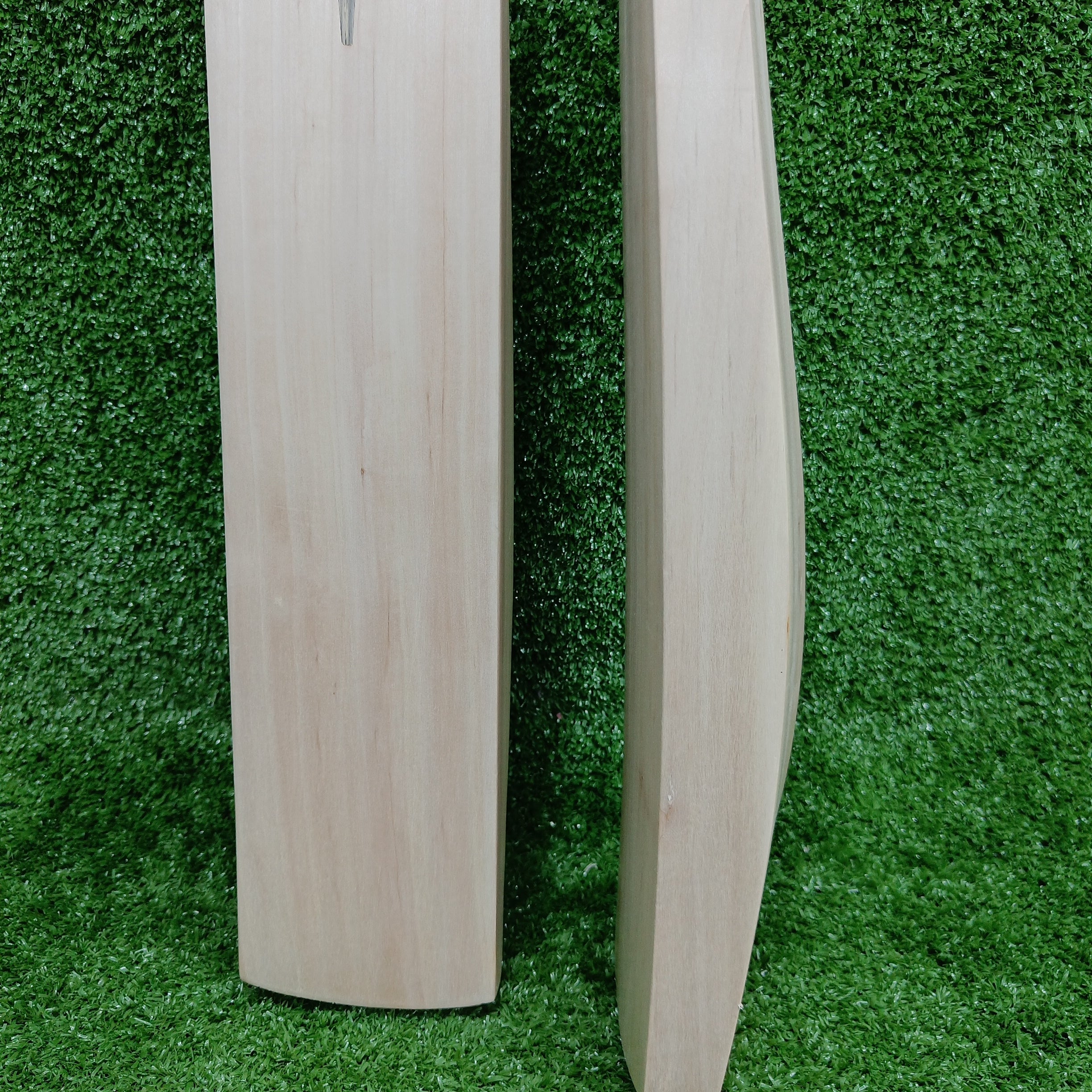 Raydn Mongoose Kashmir Willow Adult Cricket Bat