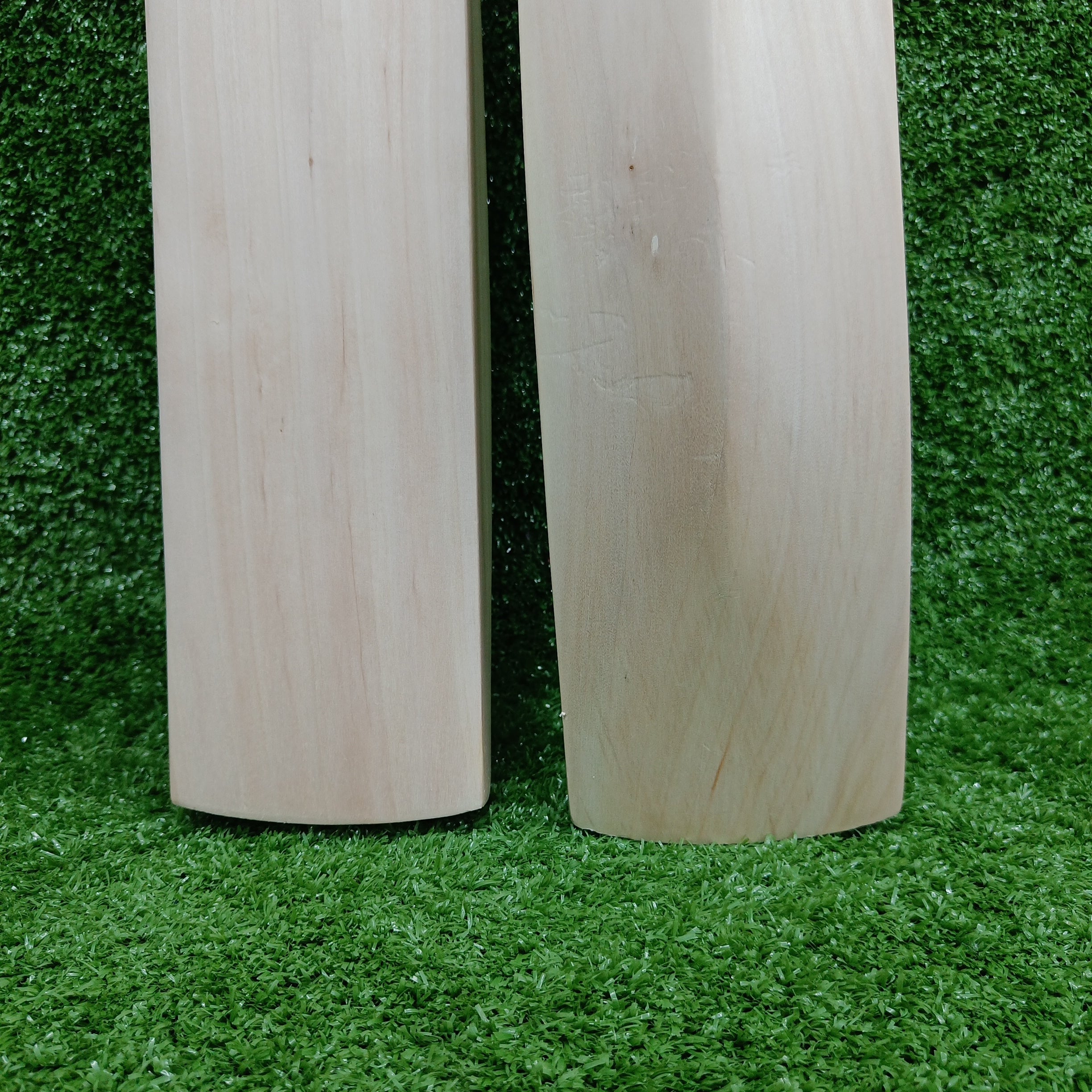 Raydn Mongoose Kashmir Willow Adult Cricket Bat