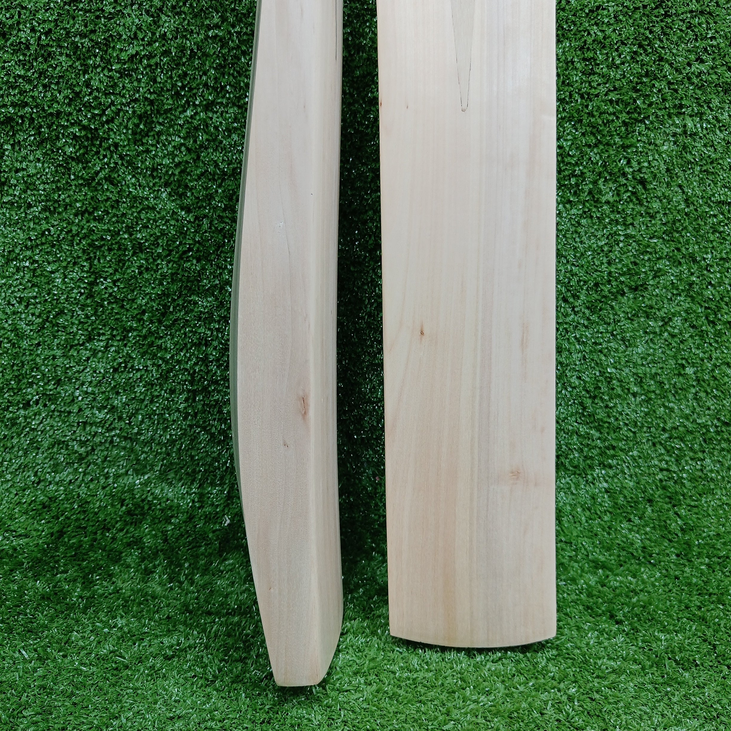 Raydn Mongoose Kashmir Willow Adult Cricket Bat