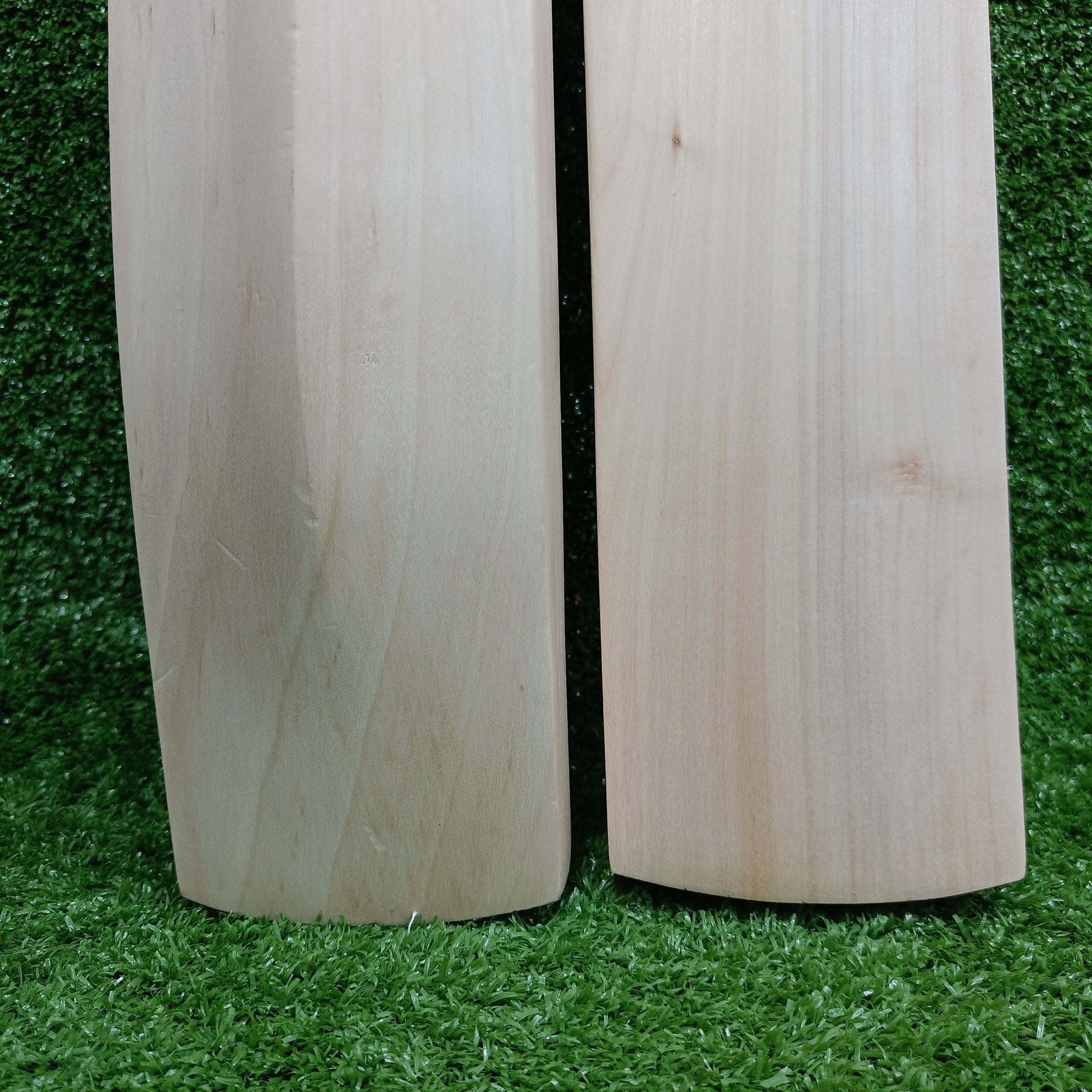 Raydn Mongoose Kashmir Willow Adult Cricket Bat