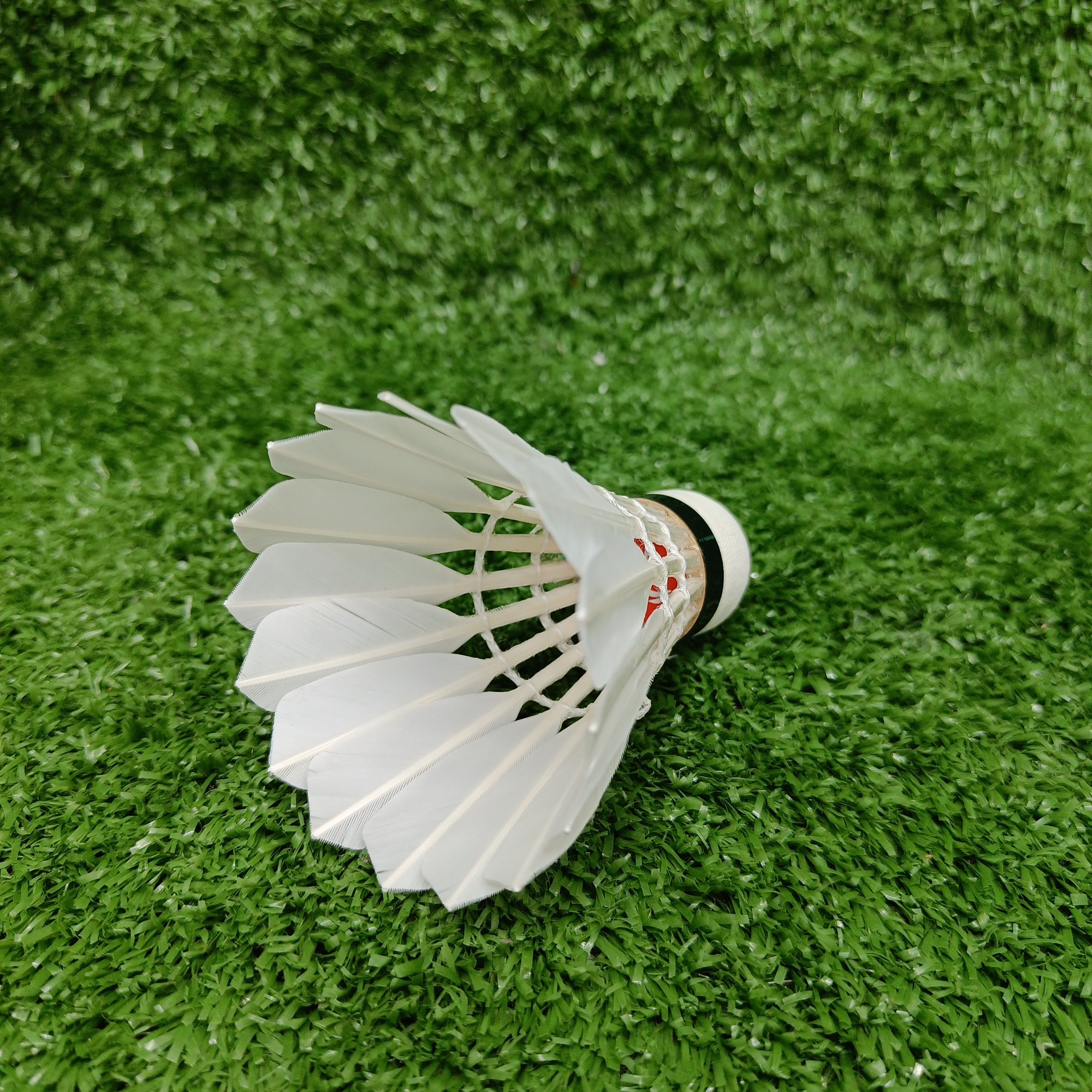 Li-Ning Badminton Feather Shuttle SG-GOLD QTY 12 SPEED 76