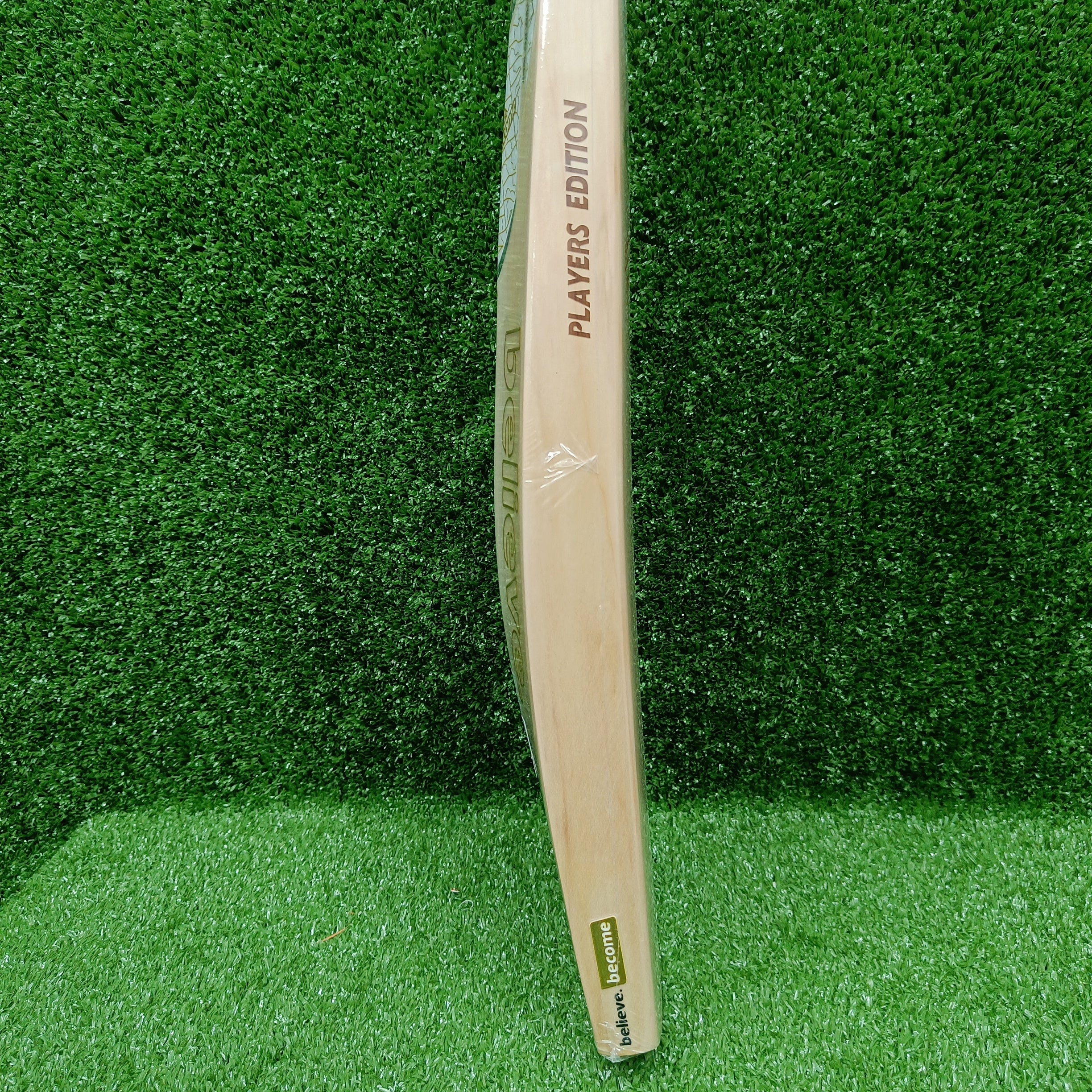 SG Players Edition Junior / Youth English Willow Cricket Bat