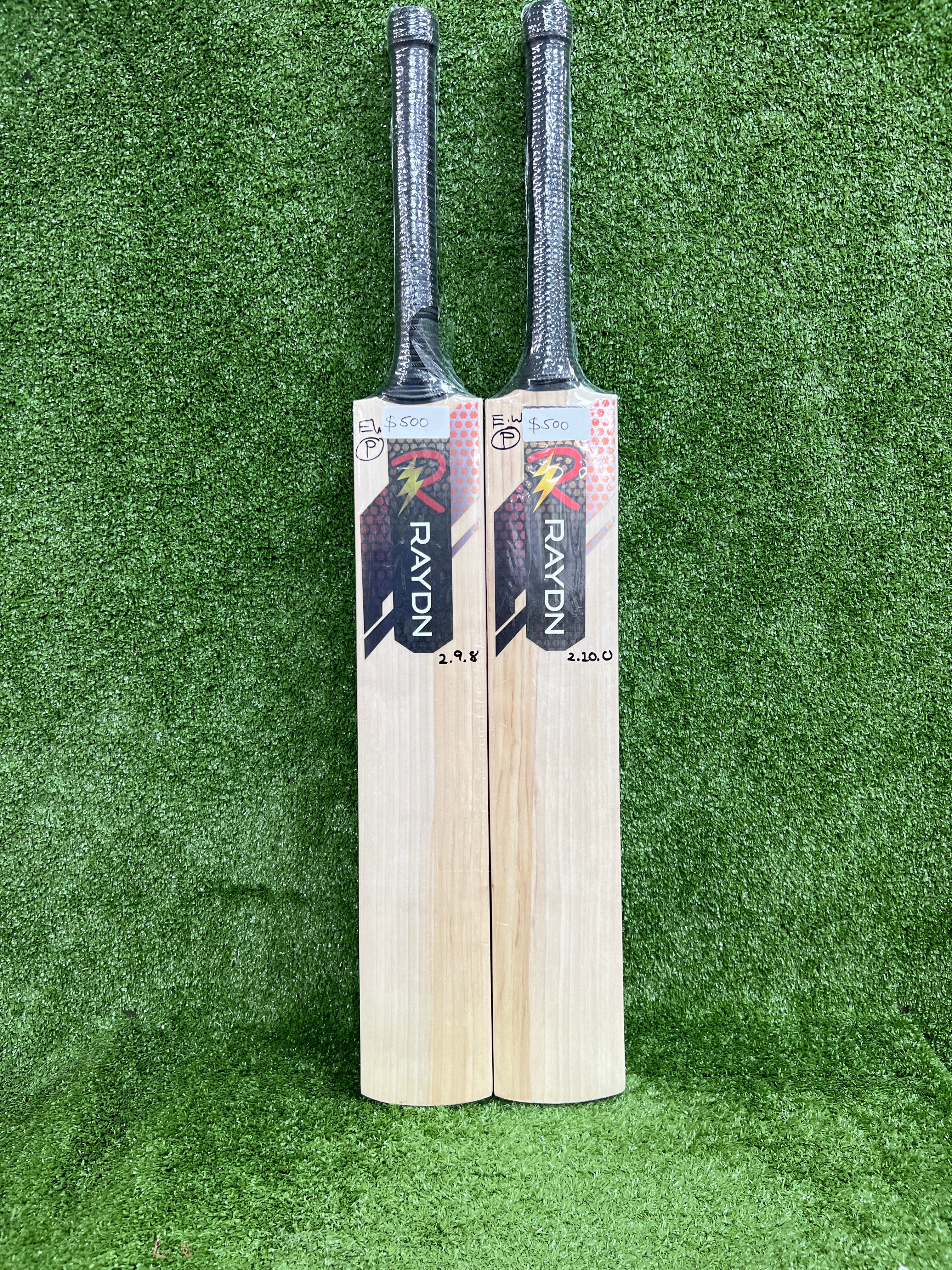 Raydn Players Grade SKY Profile English Willow Cricket Bat
