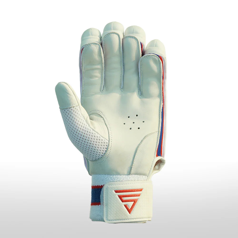 Versant Pro DG Cricket Batting Gloves