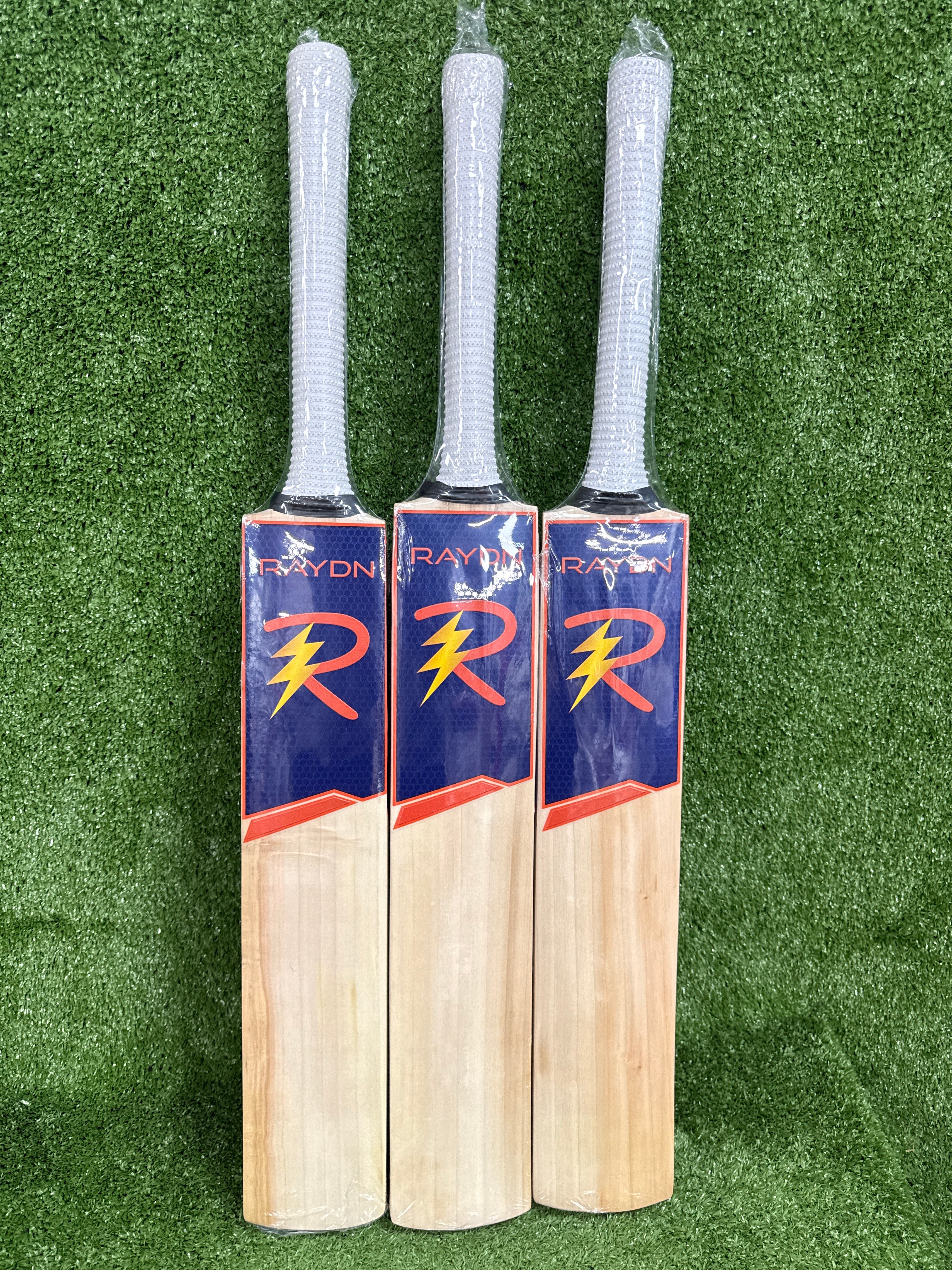 Raydn Blue Junior / Youth Premium English Willow Cricket Bat