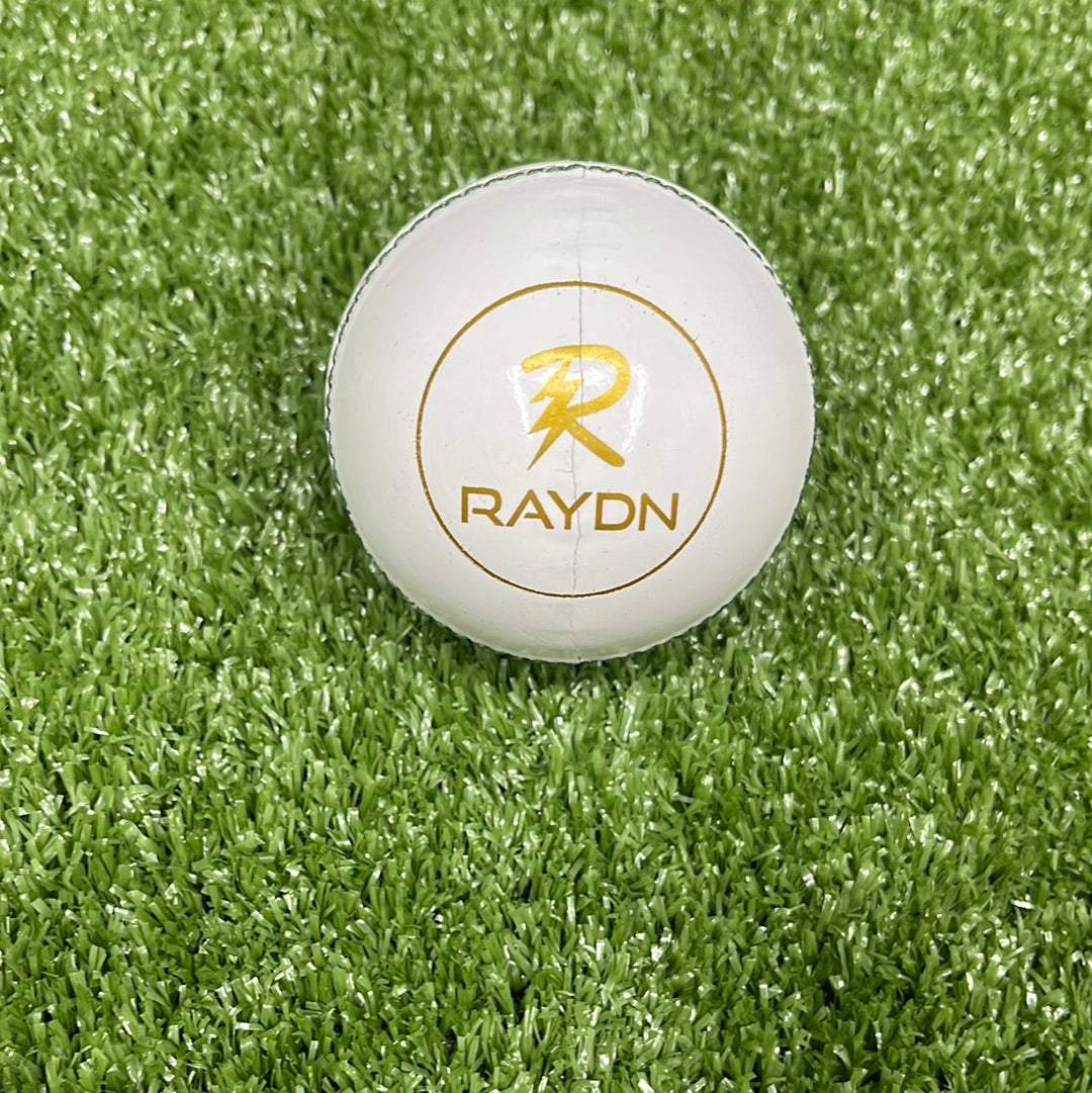 Raydn Test White Leather Cricket Ball