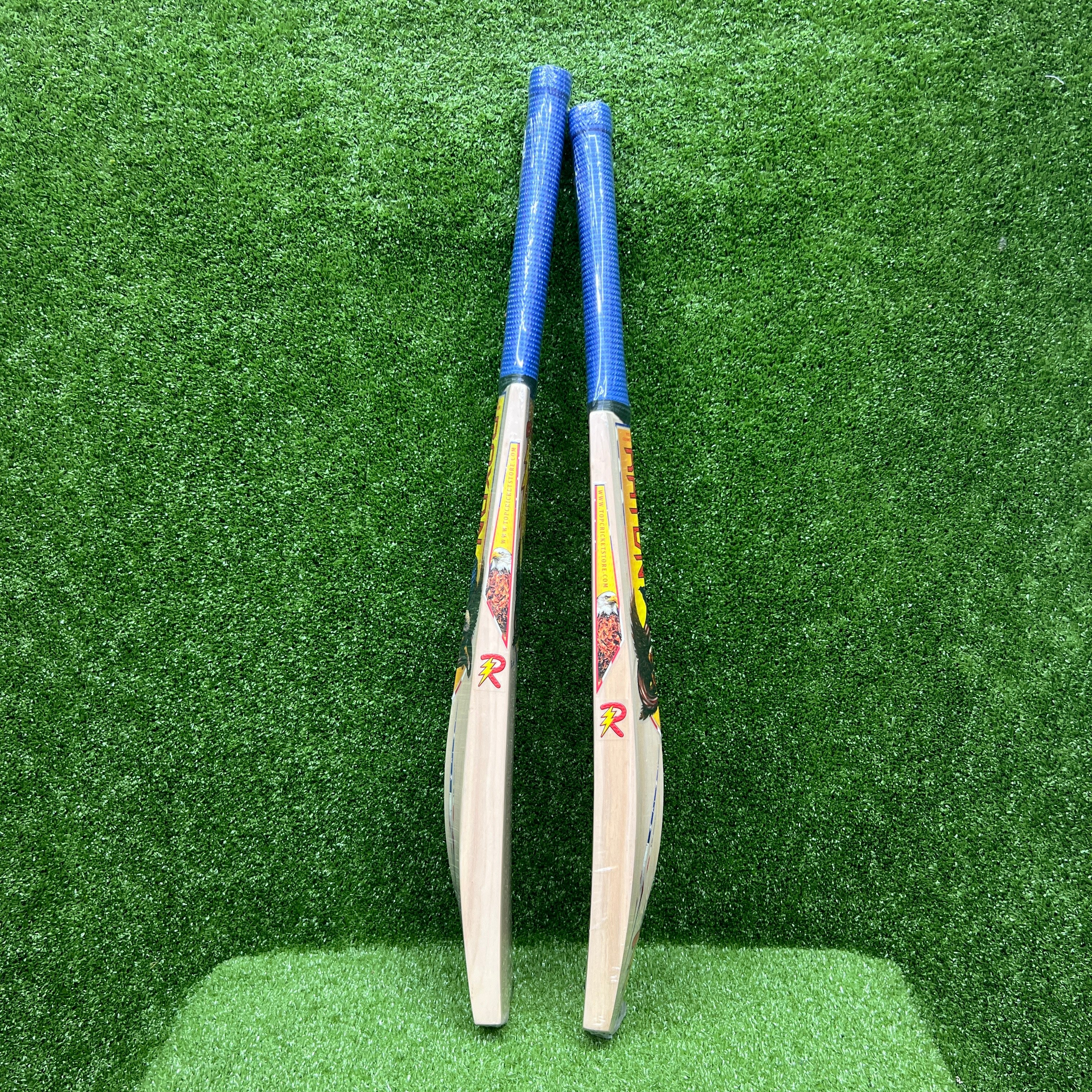 RAYDN Eagle Junior/Youth (Surya Kumar Yadav Profile) Premium Kashmir Willow Cricket Bat