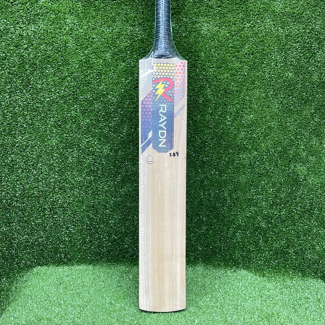 Raydn (Surya Kumar Yadav Profile) Kashmir Willow Light Weight Adult Tennis Ball Cricket Bat