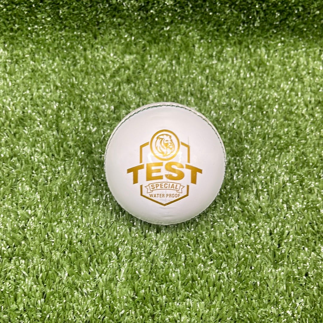 Raydn Test White Leather Cricket Ball