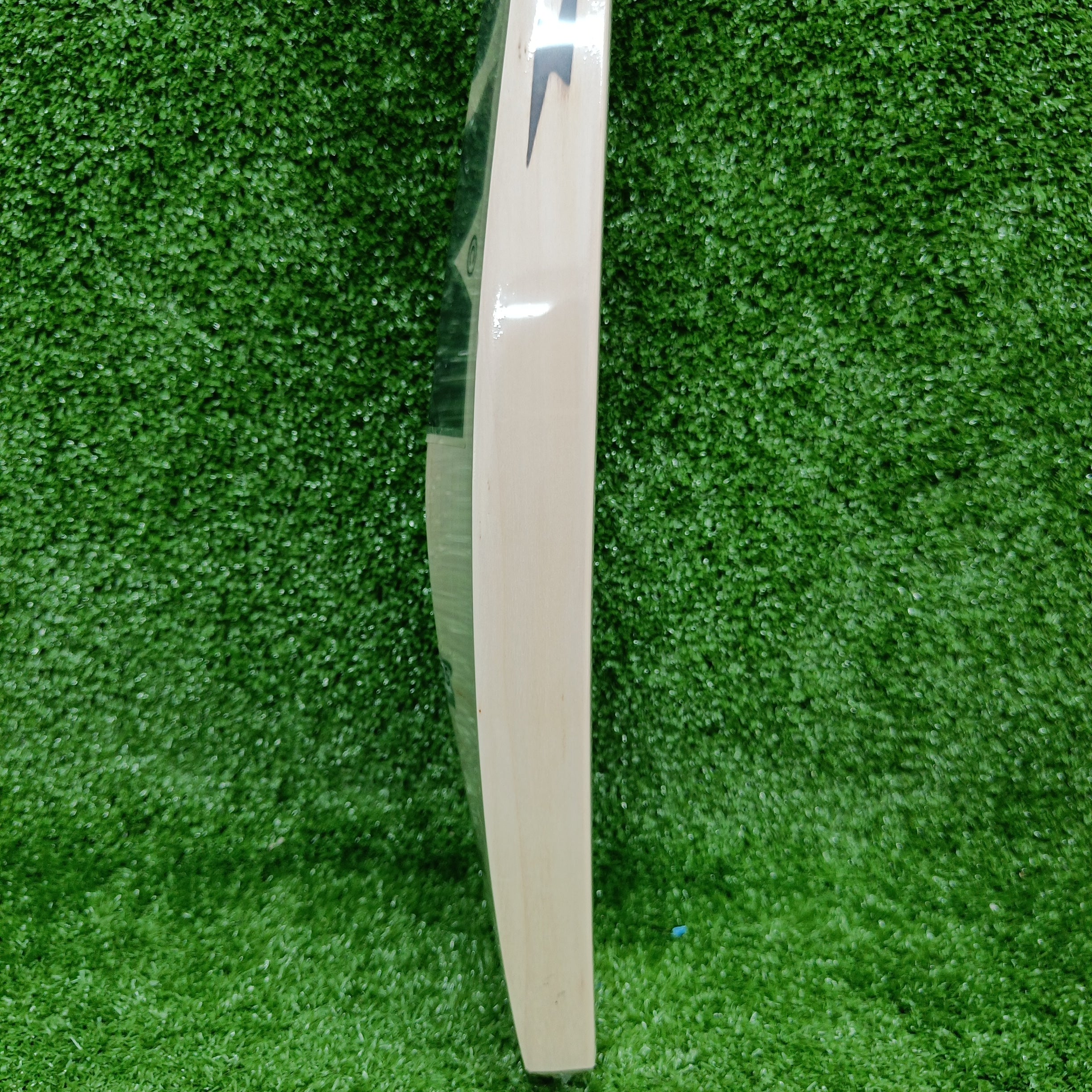 BDM Black Kaiser Players English Willow Cricket Bat