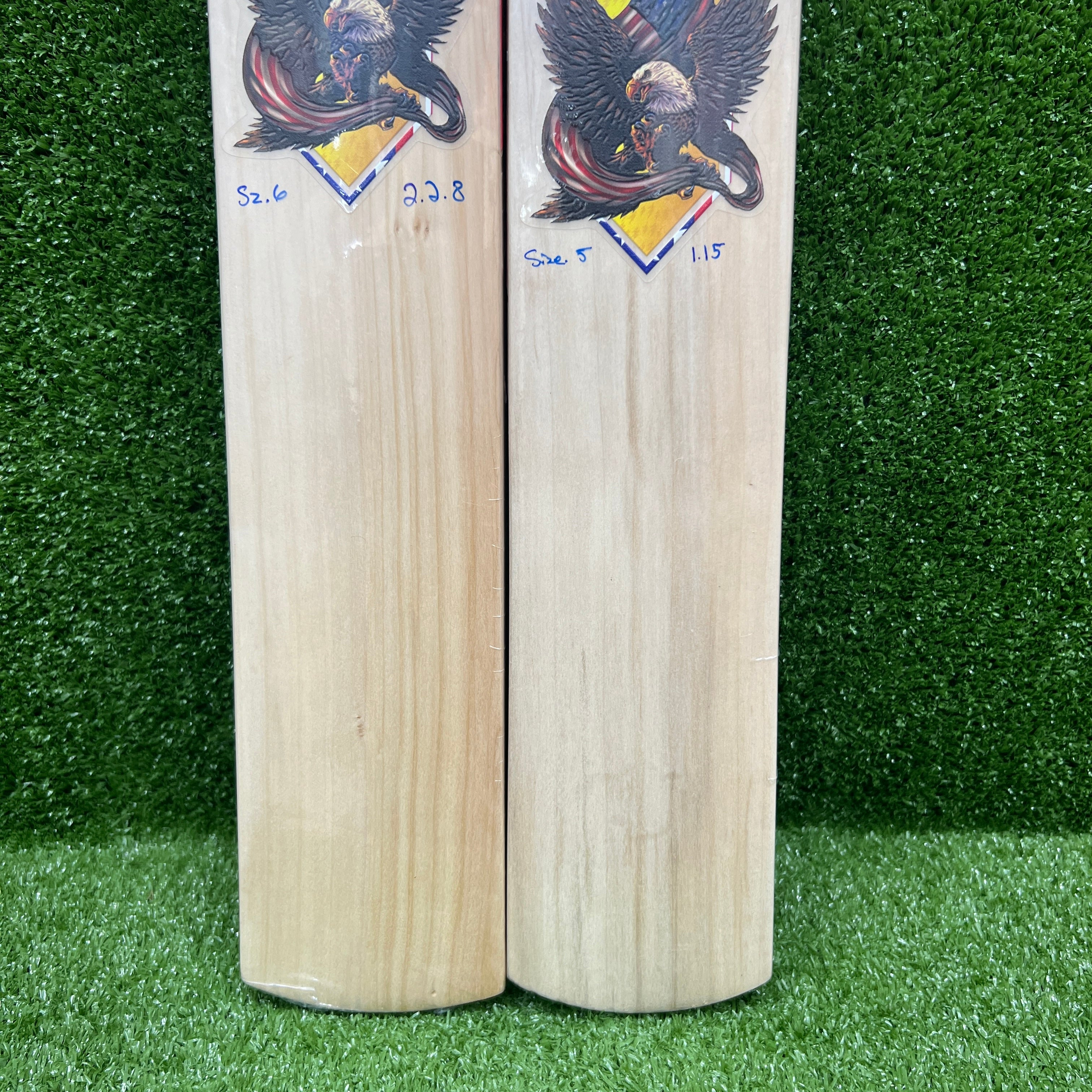RAYDN Eagle Junior/Youth (Surya Kumar Yadav Profile) Premium Kashmir Willow Cricket Bat