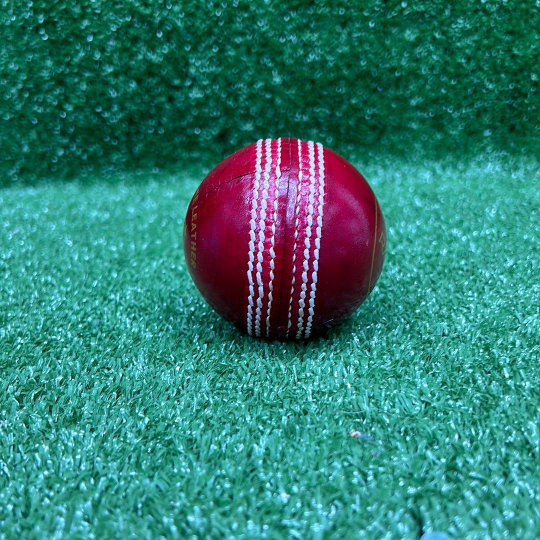 Raydn Red Leather Cricket Ball_2