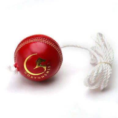 Gortonshire Hanging String Leather Cricket Training Ball - Top Cricket Store
