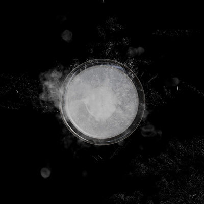 Hundred Cricket / Badminton Racquet Grip Powder