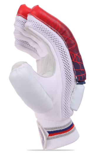 SG RP Club Junior / Youth Cricket Batting Gloves
