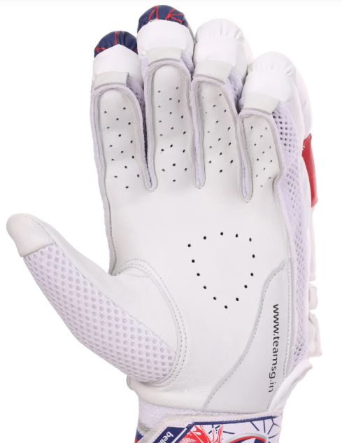 SG KLR Lite Junior/Youth Cricket Batting Gloves (Blue/Red)