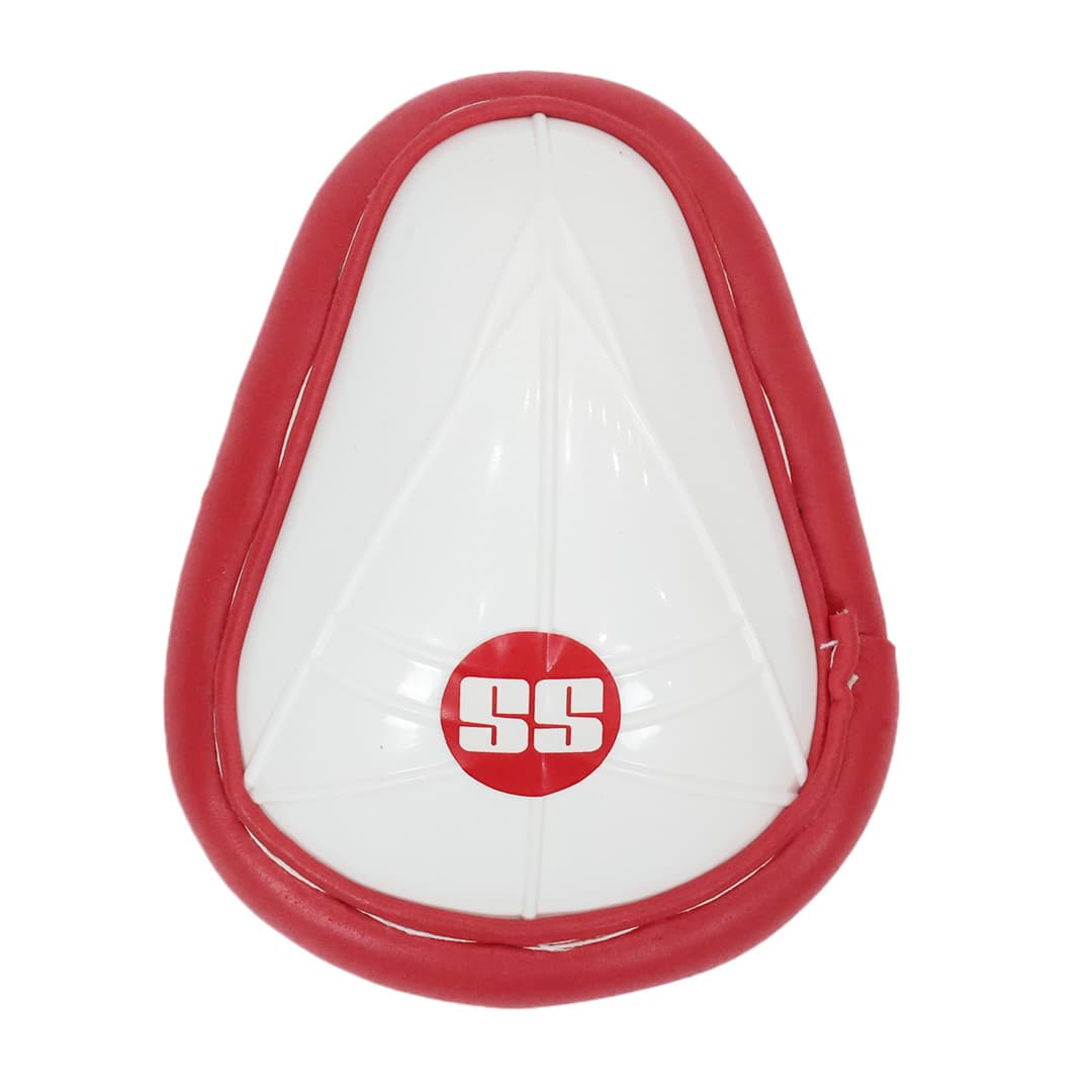 SS Vaibhav Sooryavanshi Junior / Youth Full Cricket Kit Set