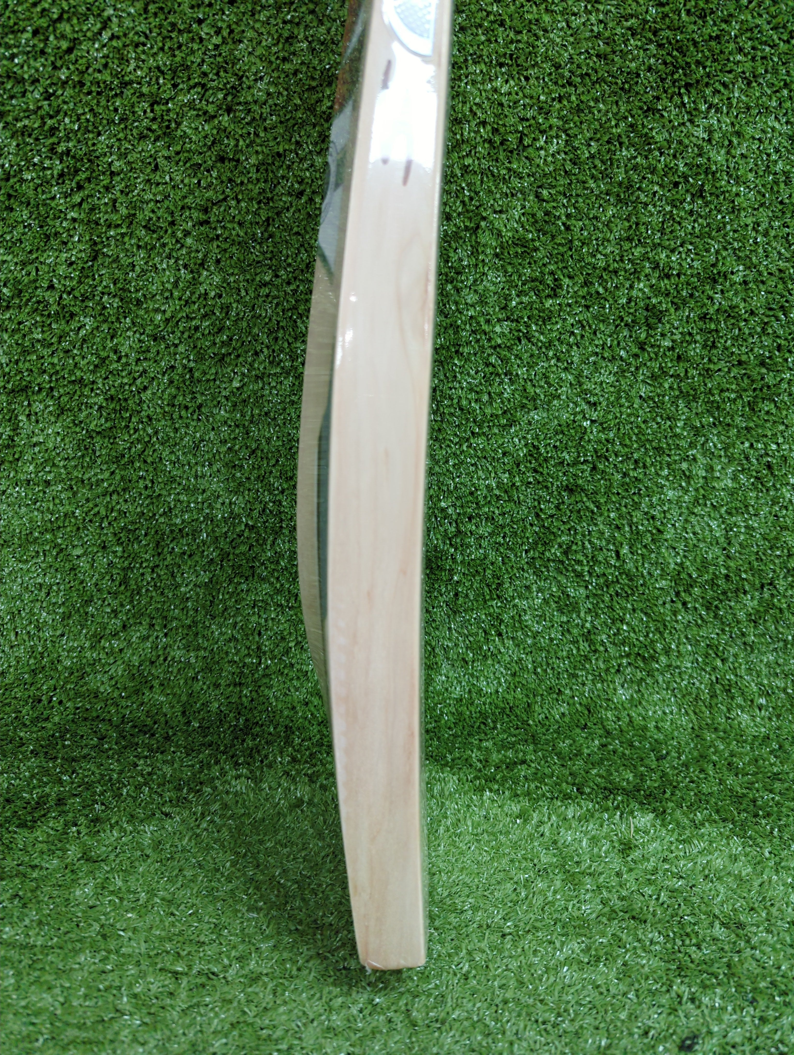 SS Ton Vertu English Willow Cricket Bat