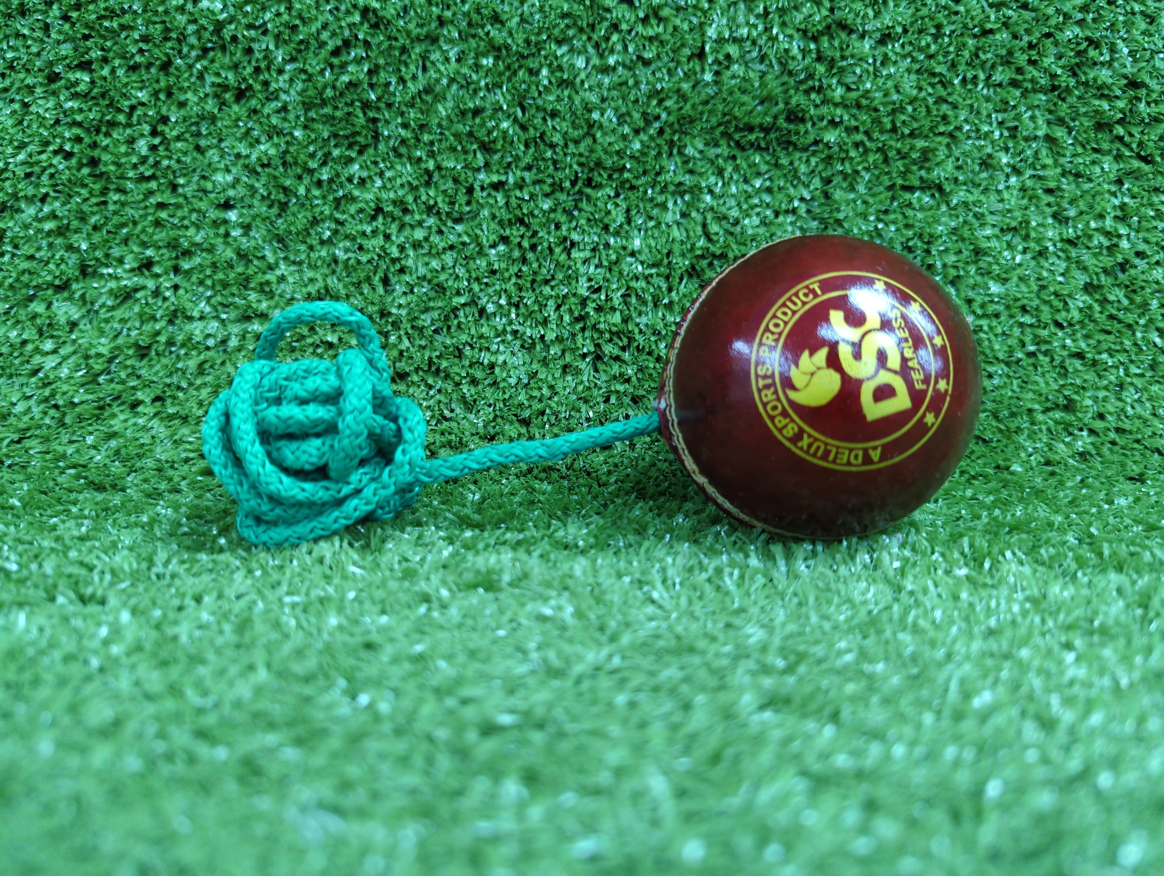 DSC Hanging String Leather Cricket Training Ball