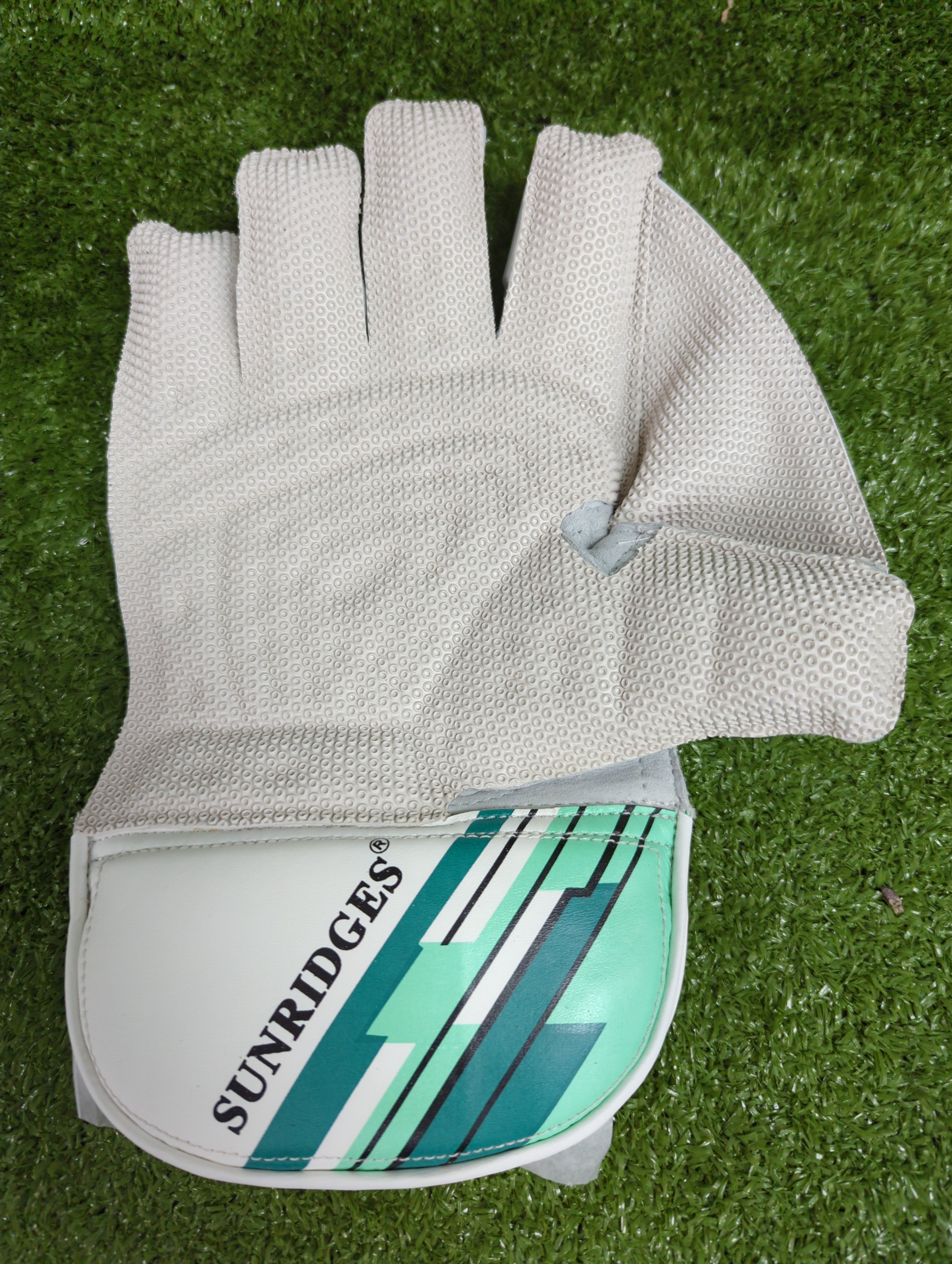 SS Aerolite Adult Wicket Keeping Gloves by SS - back view - TopCricketStore