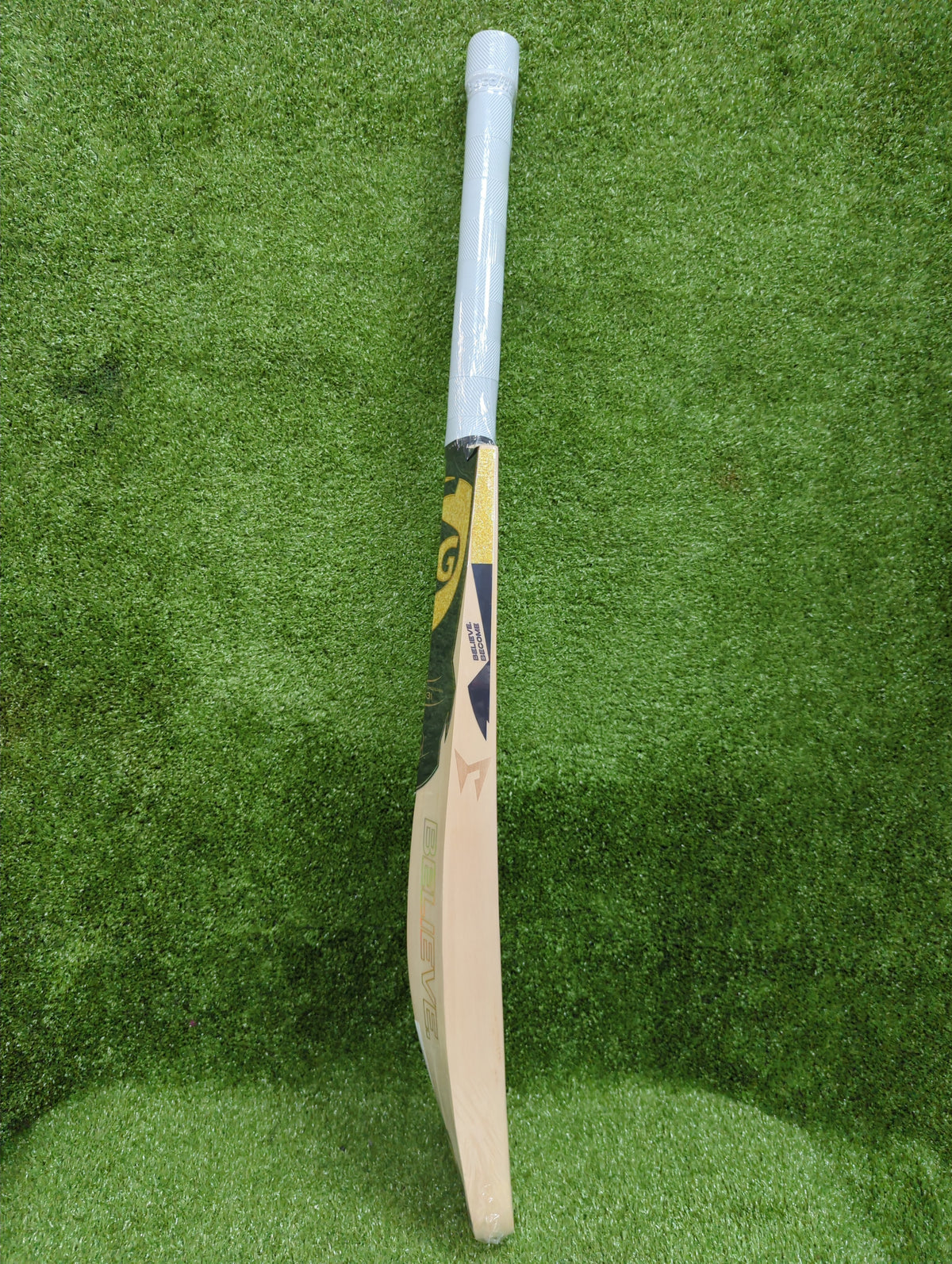 SG HP T-20 English Willow Cricket Bat SG