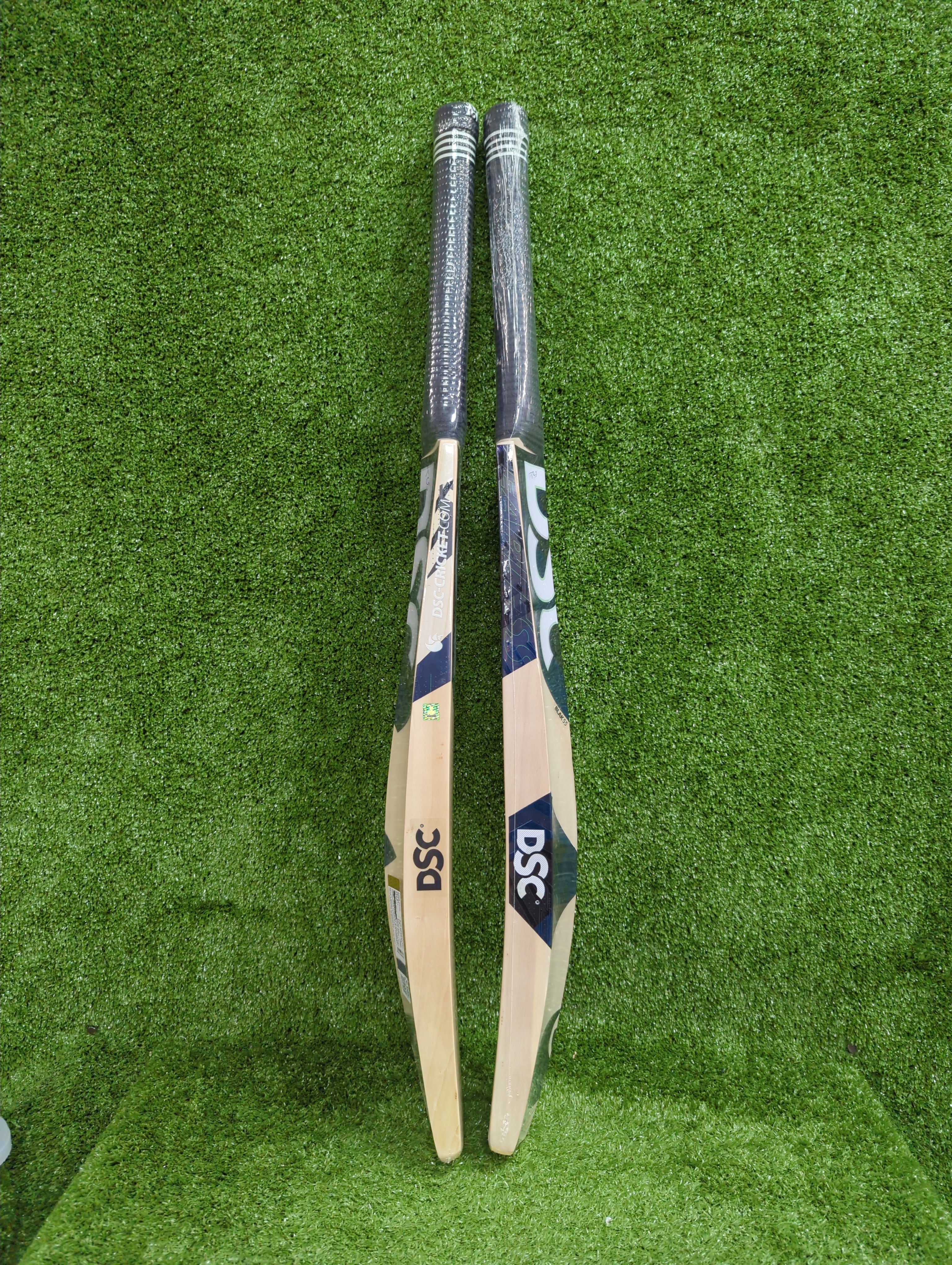 DSC BLAK 55 Adult Kashmir Willow Cricket Bat
