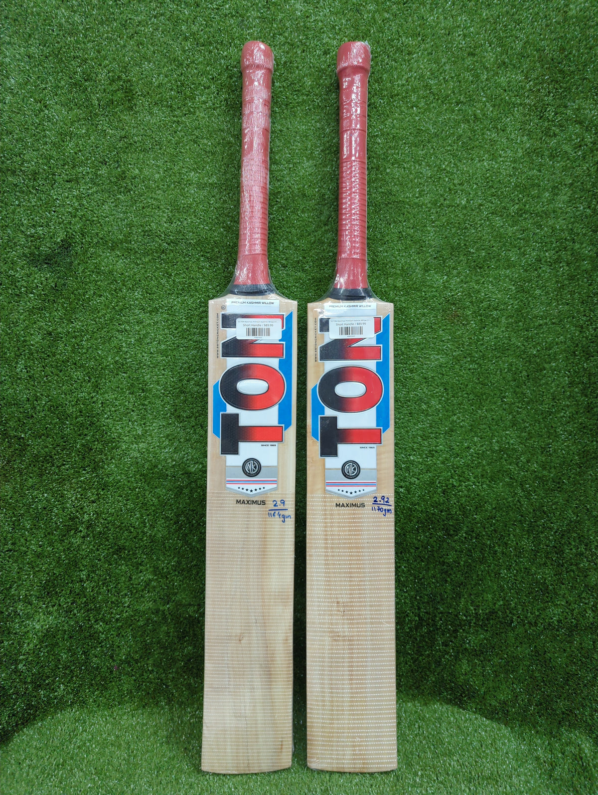 SS TON Maximus Premium Kashmir Willow Cricket Bat SS
