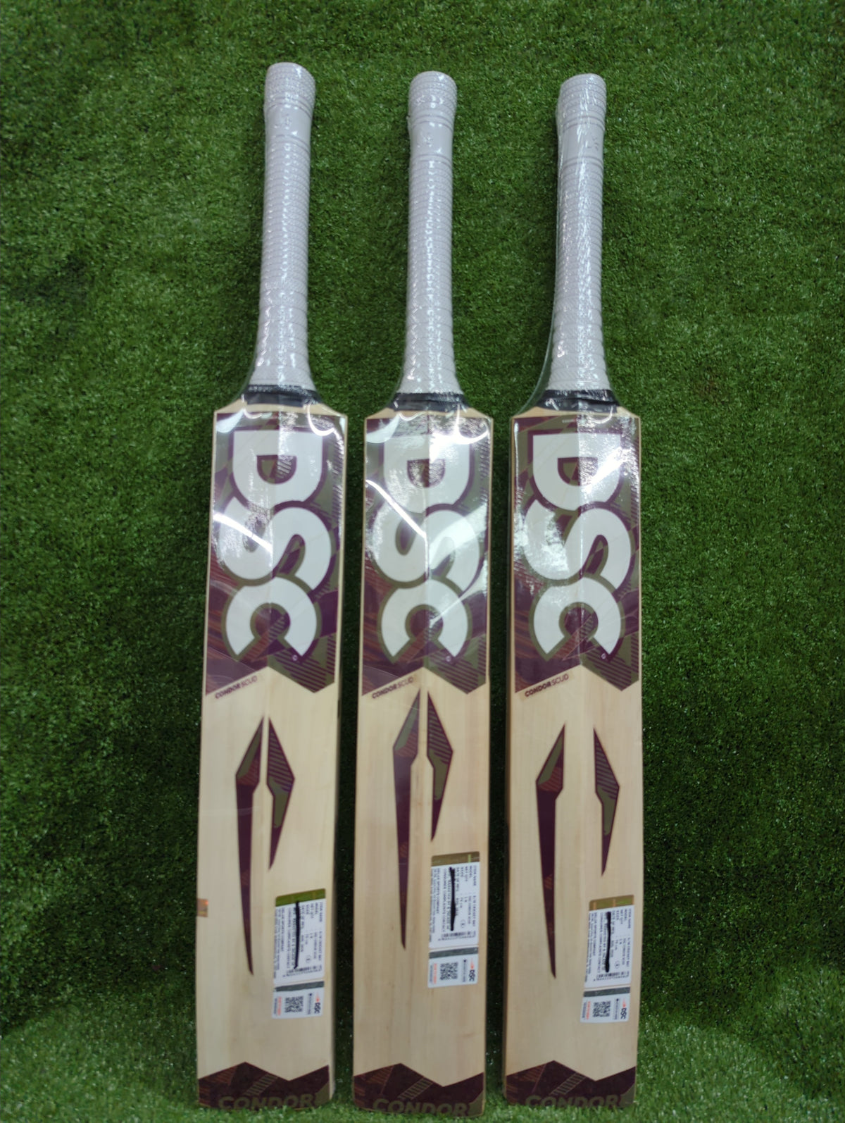 DSC Condor Scud Junior / Youth Kashmir Willow Cricket Bat DSC