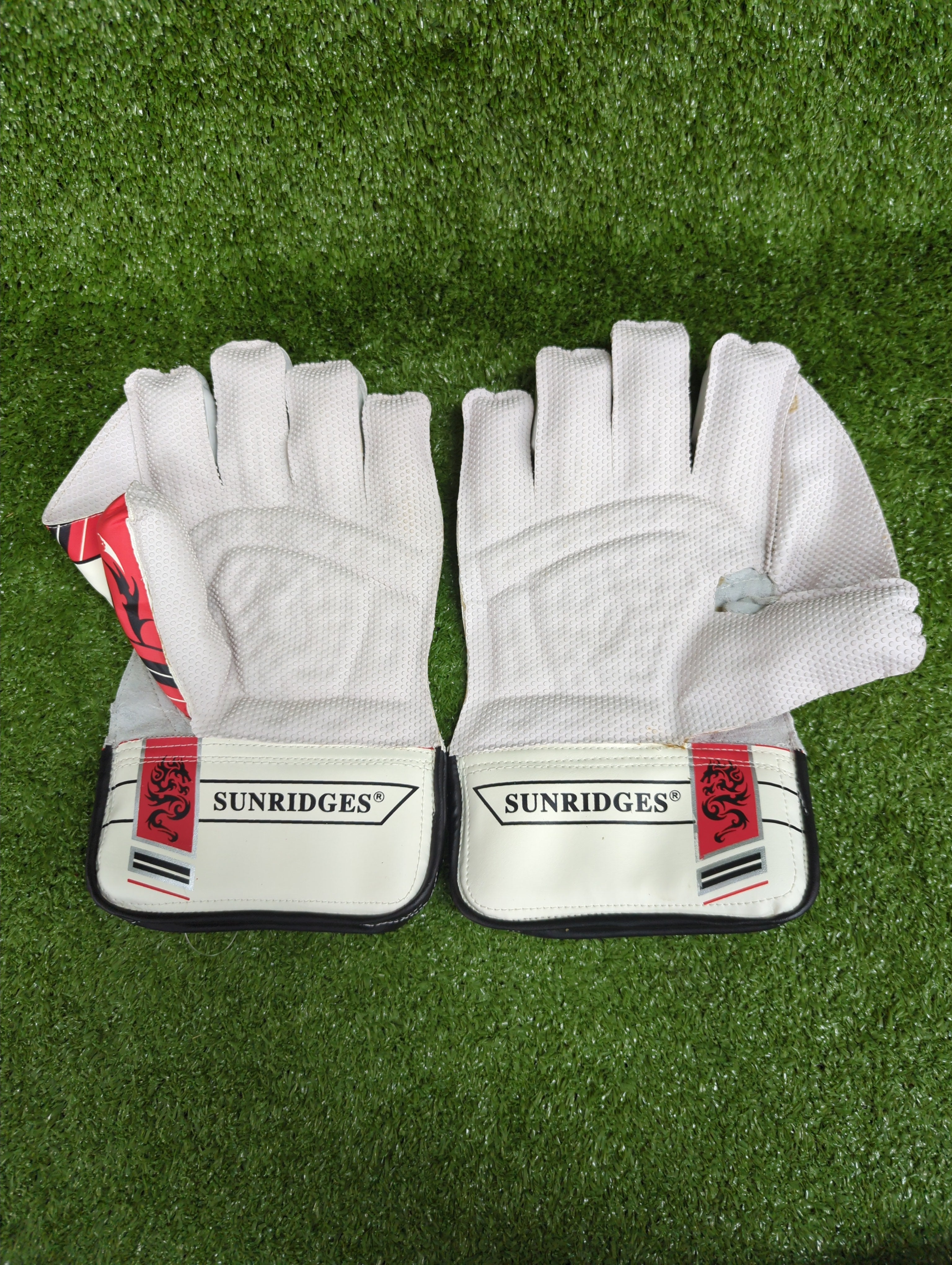 SS Dragon Junior / Youth Wicket Keeping Gloves by SS - back view - TopCricketStore