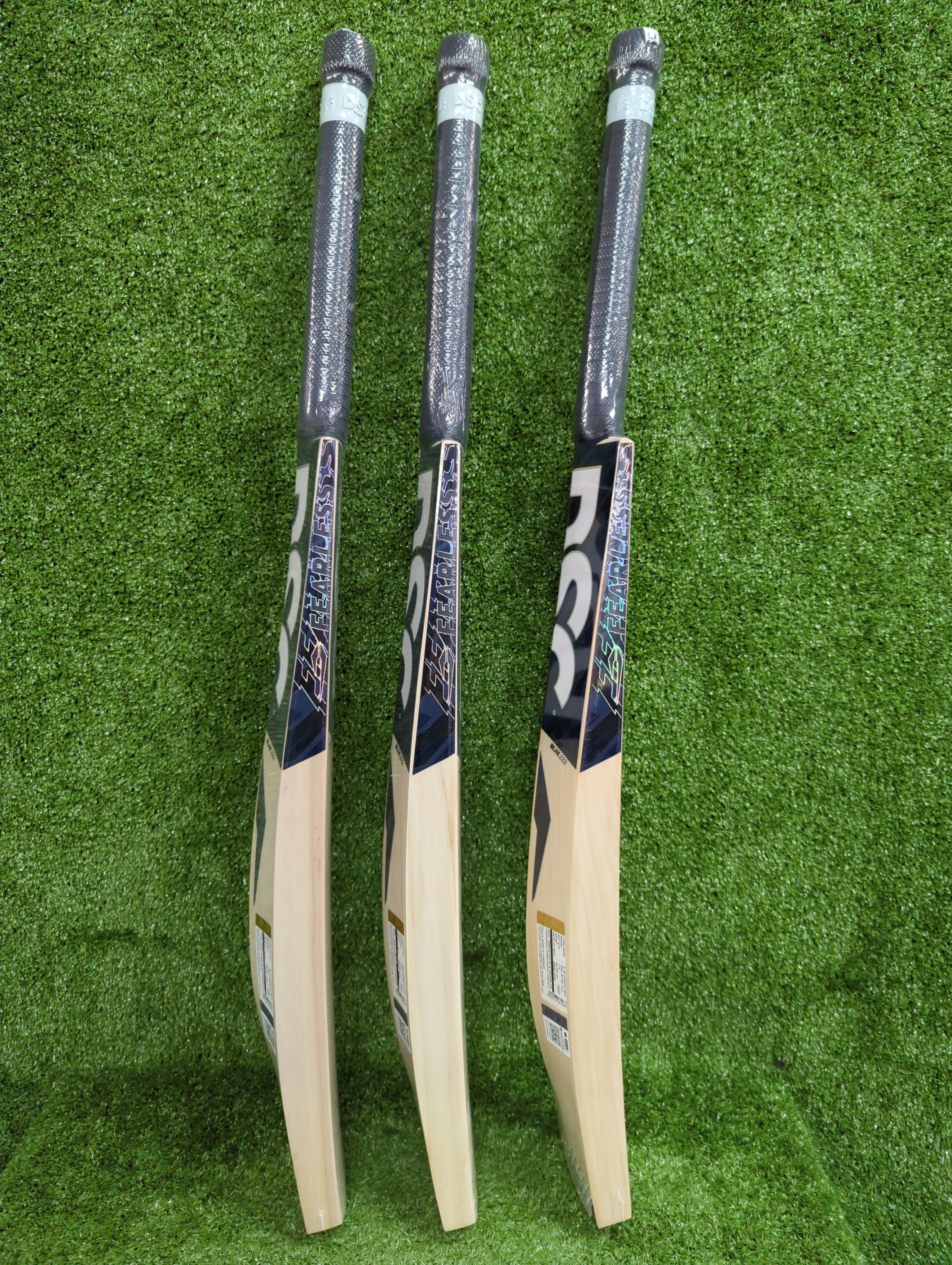 DSC Blak 222 Adult English Willow Cricket Bat