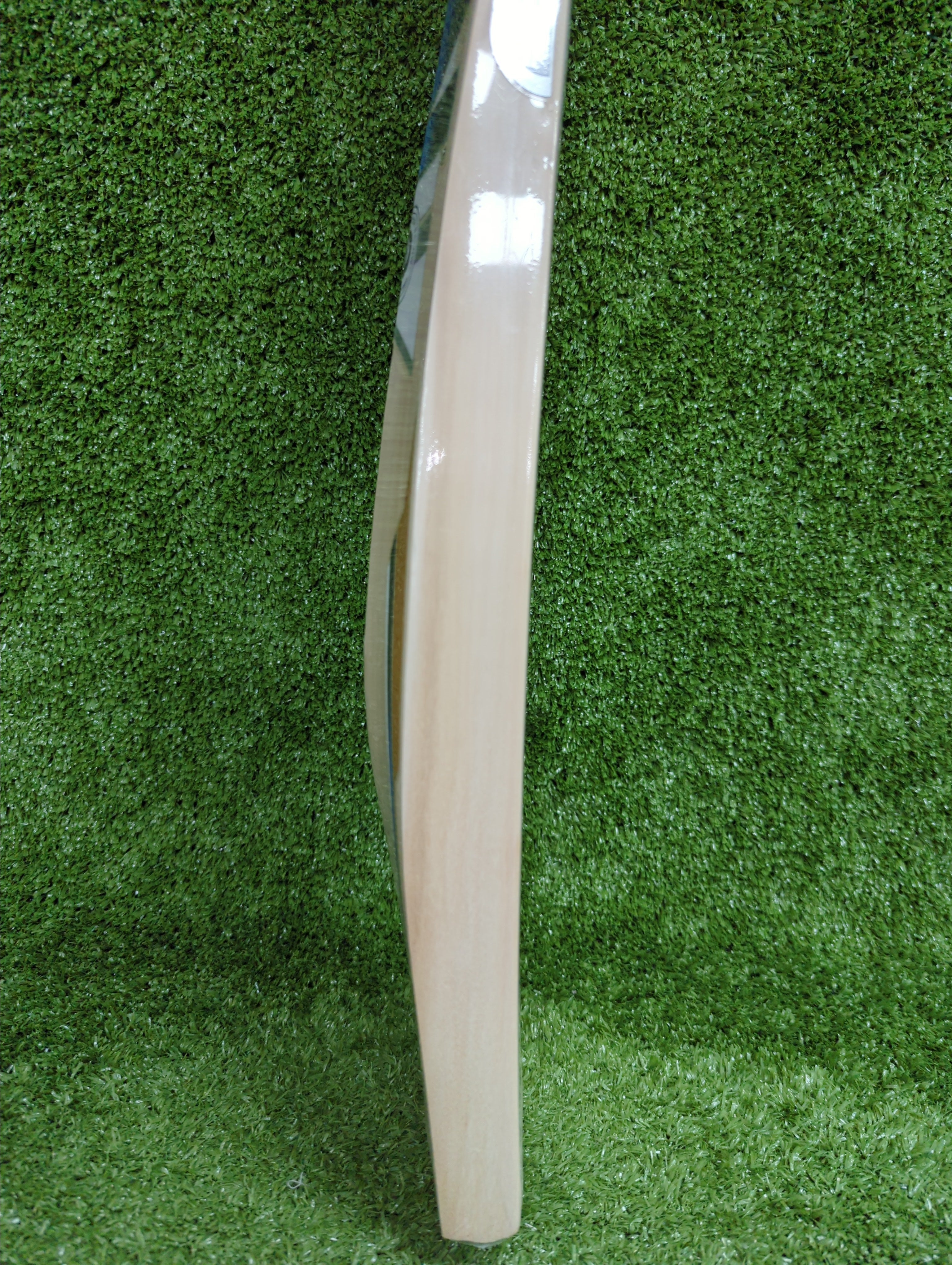 SS Ton Blaster Kashmir Willow Cricket Bat
