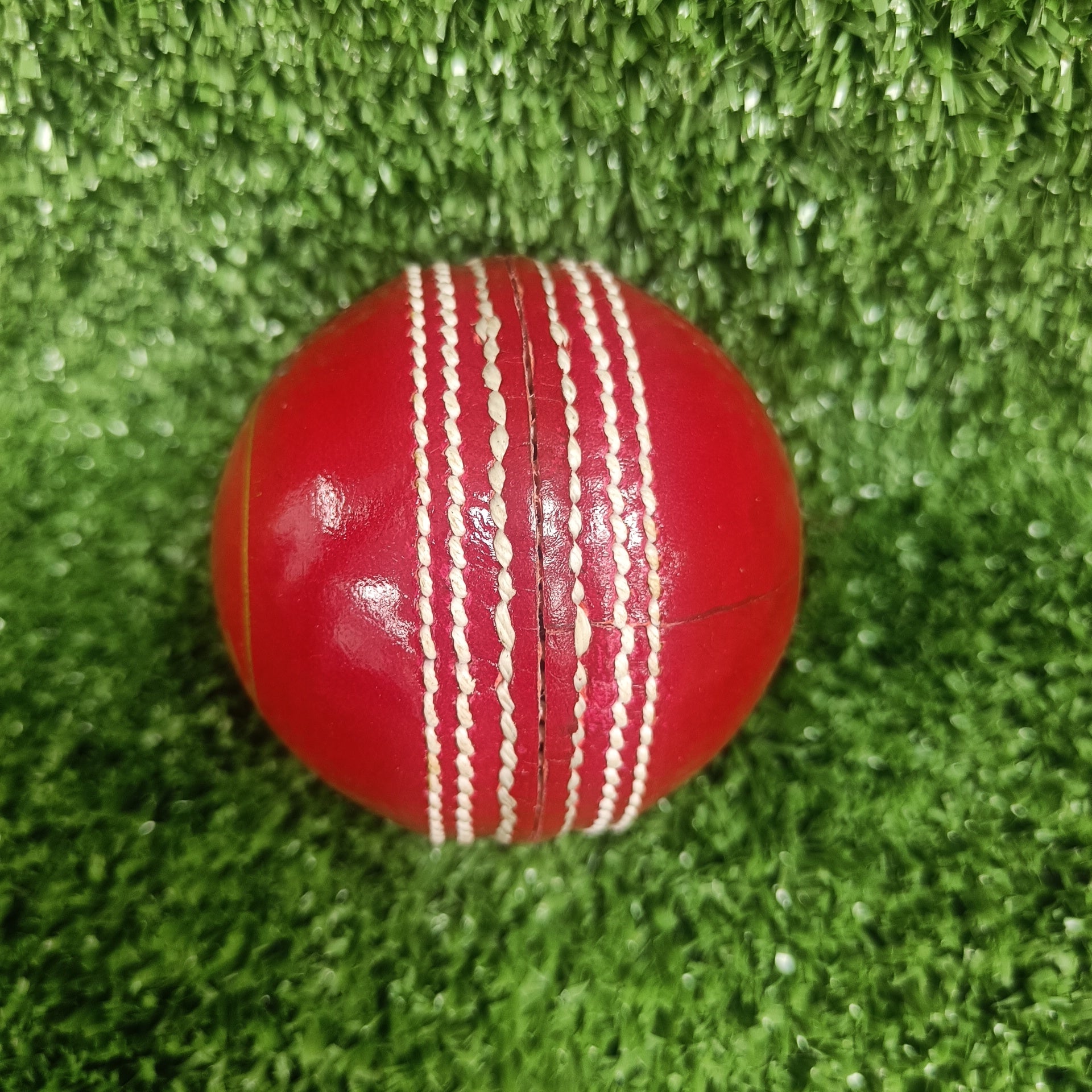 Raydn Test Red Leather Cricket Ball