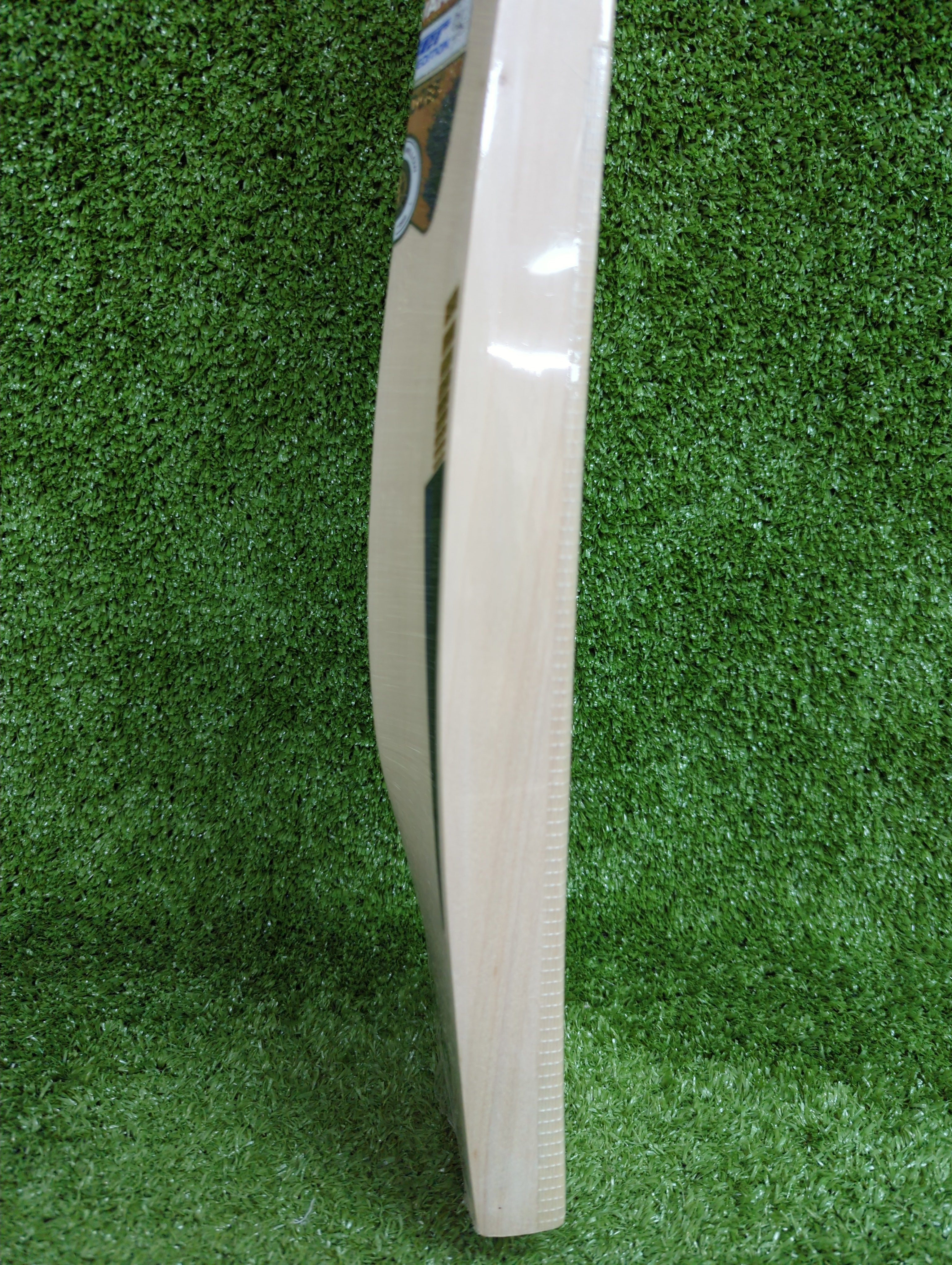SS Tilak Varma Trigger Edition Premium Kashmir Willow Cricket Bat