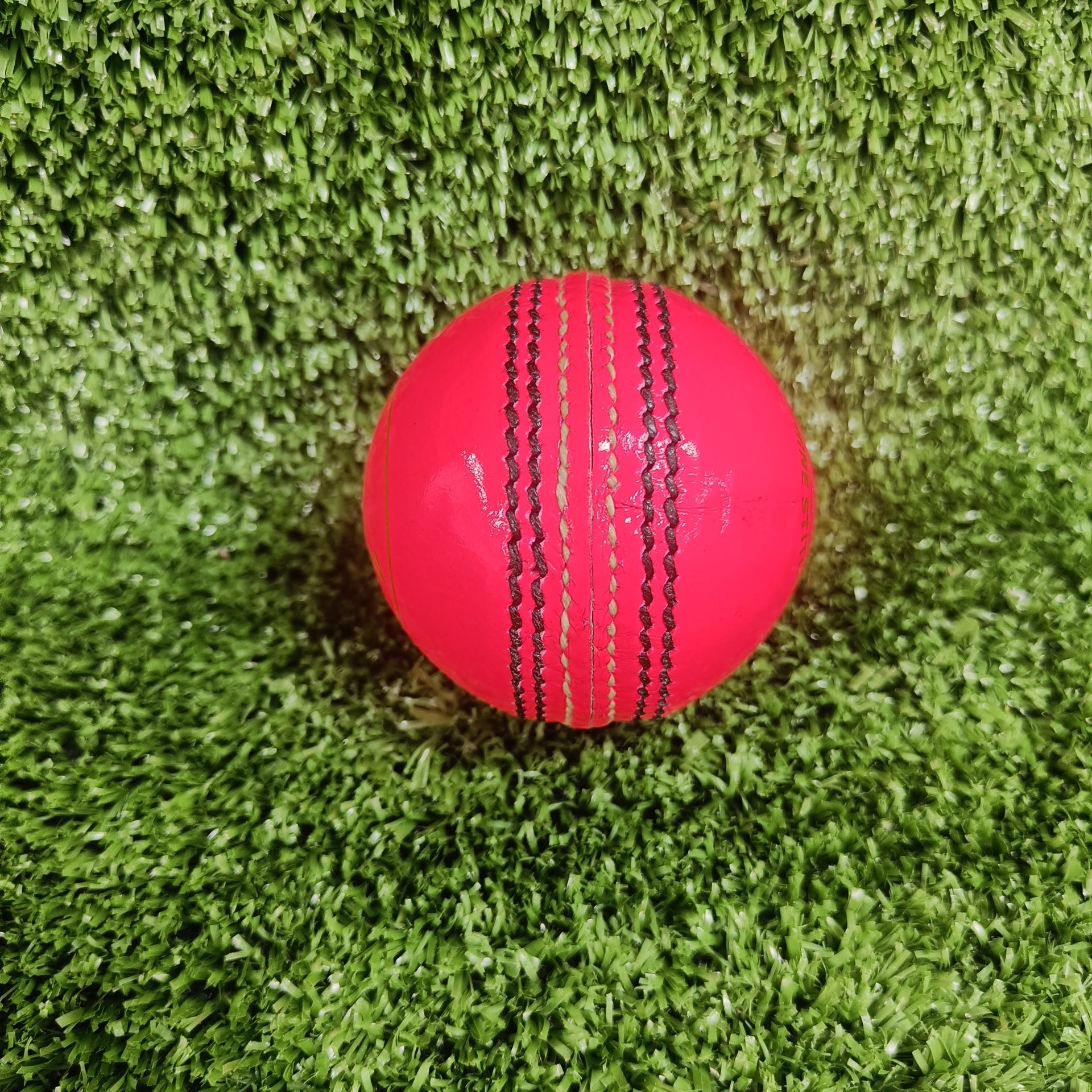 Raydn Club Pink Cricket Leather Ball