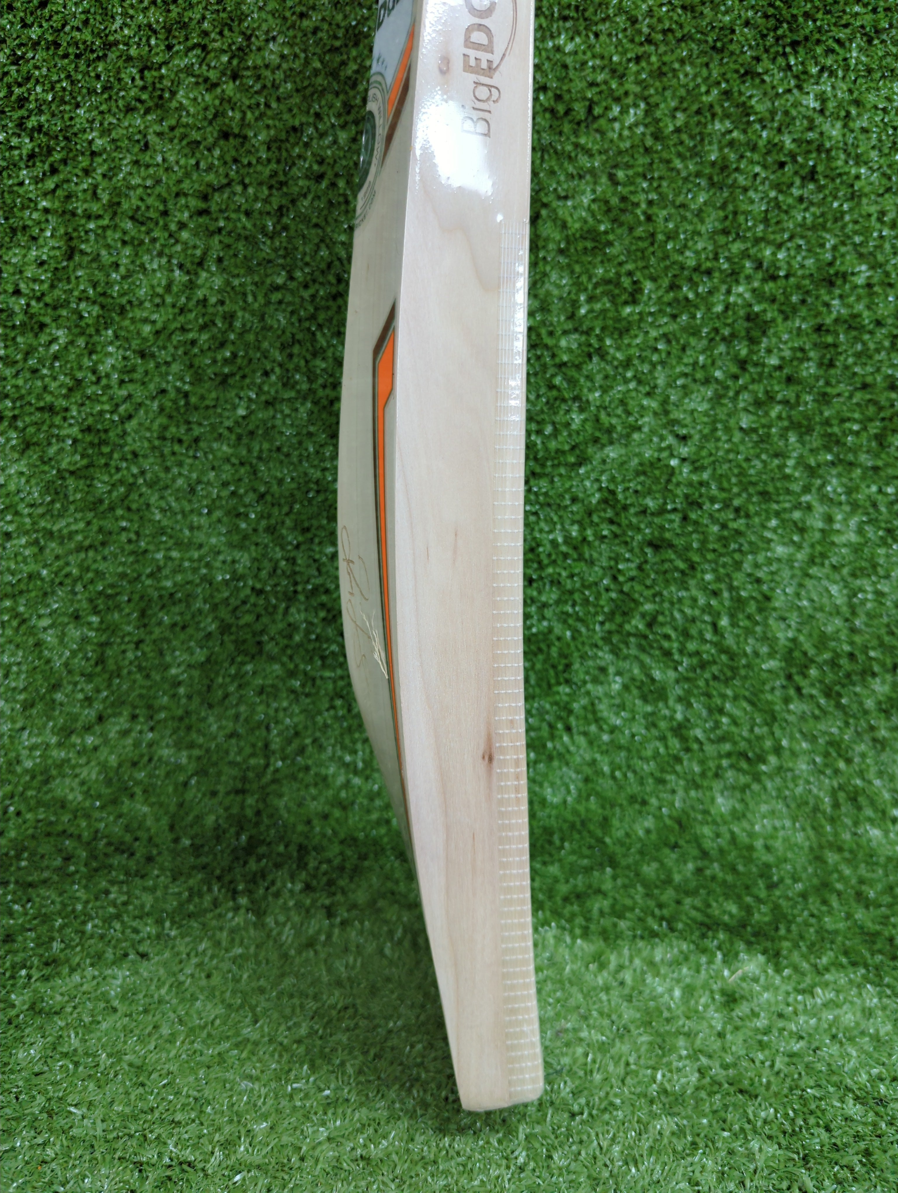 SS Players 5000 English Willow Cricket Bat (Ravindra Jadeja) Big Edge