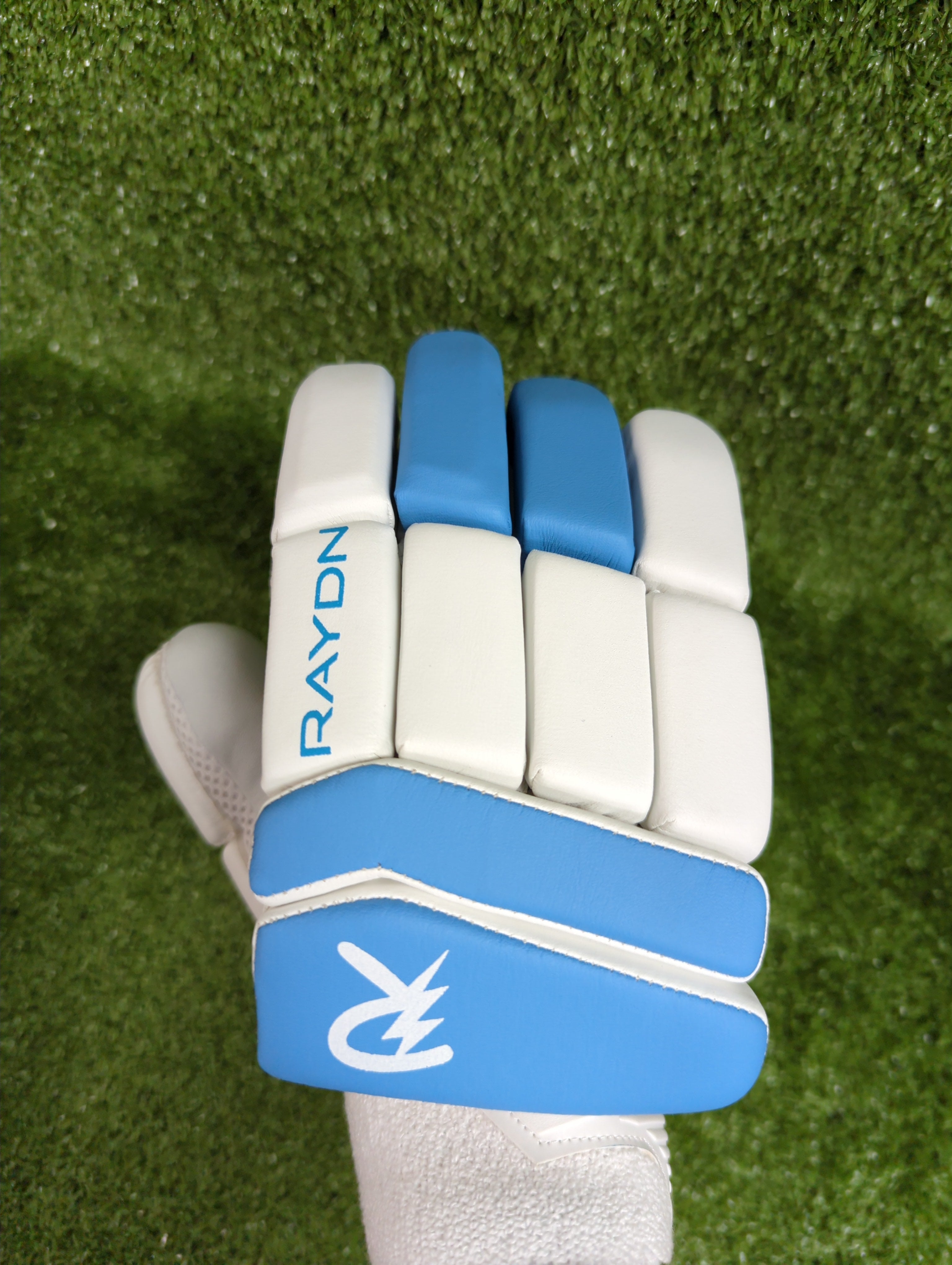 Raydn Master Junior / Youth Cricket Batting Gloves