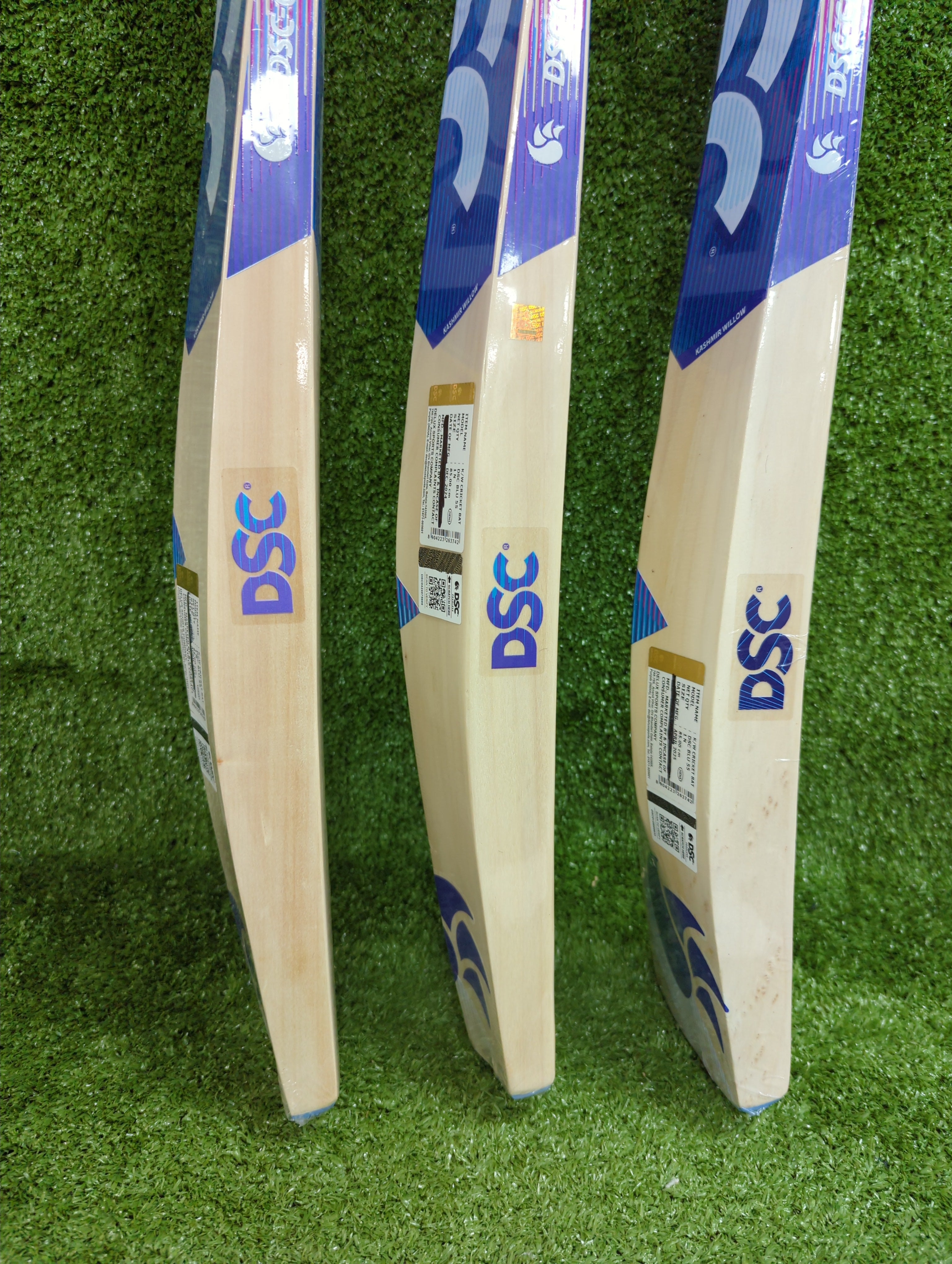 DSC Blu 55 Kashmir Willow Cricket Bat