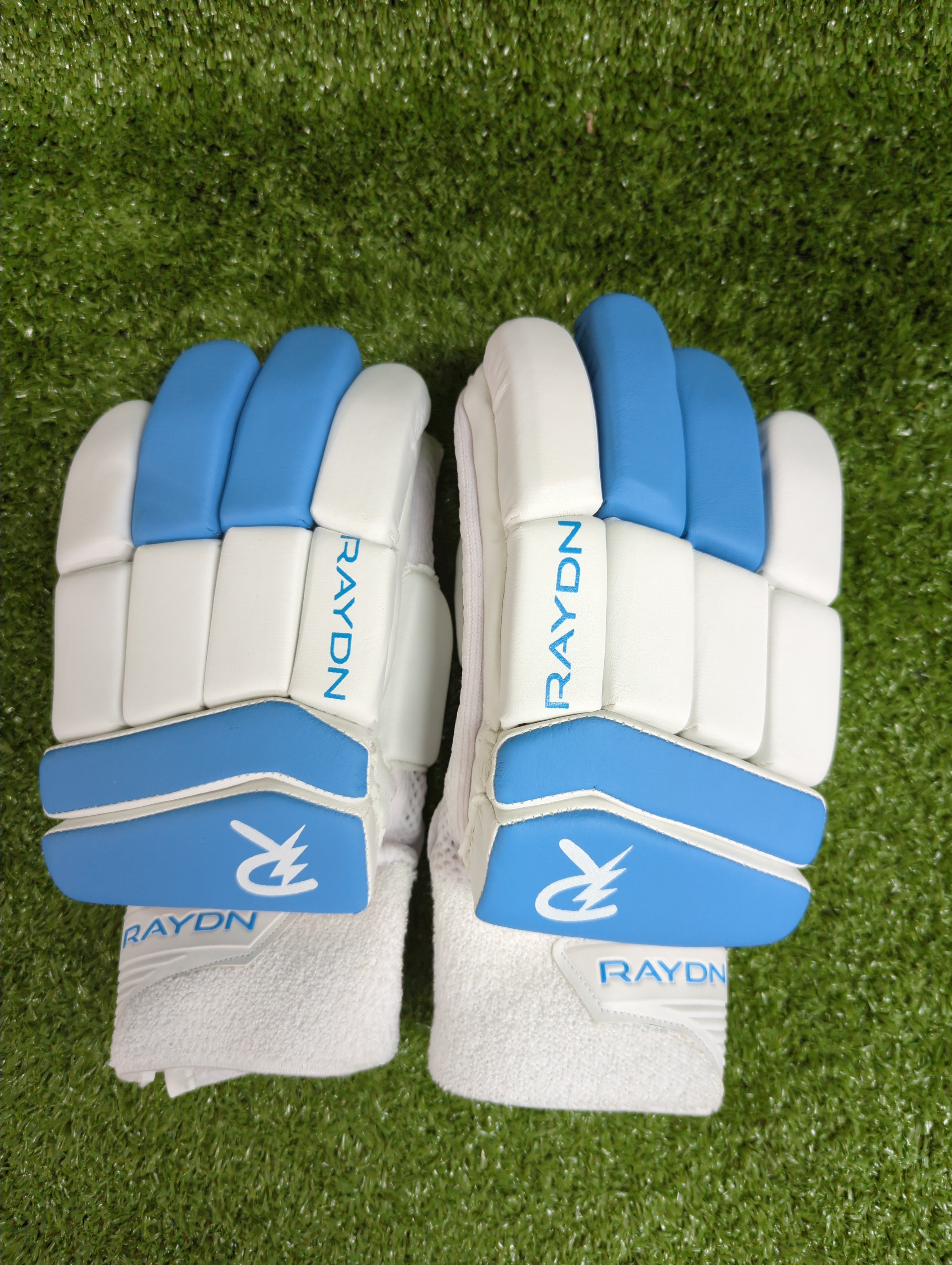 Raydn Master Junior / Youth Cricket Batting Gloves