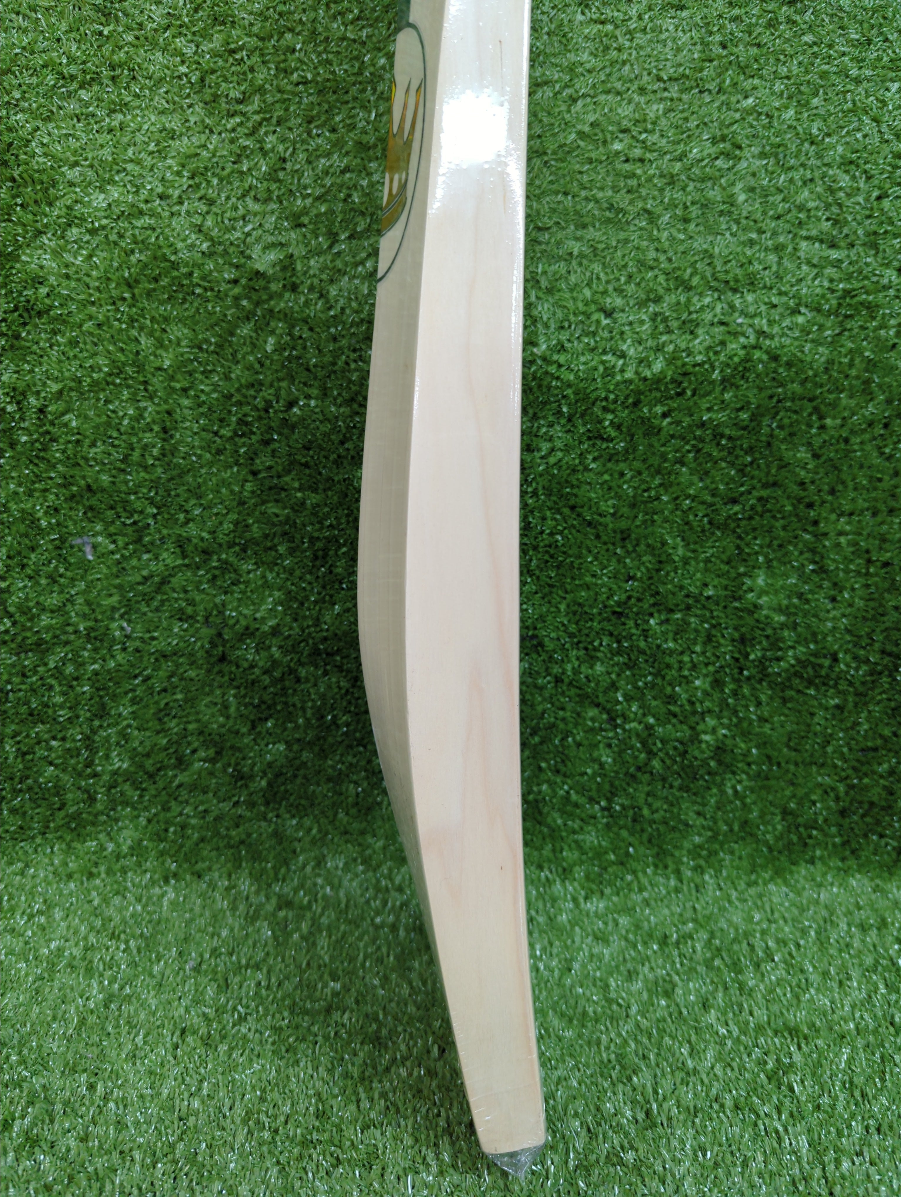 SG Triple Crown Arc 1.0 English Willow Cricket Bat SG