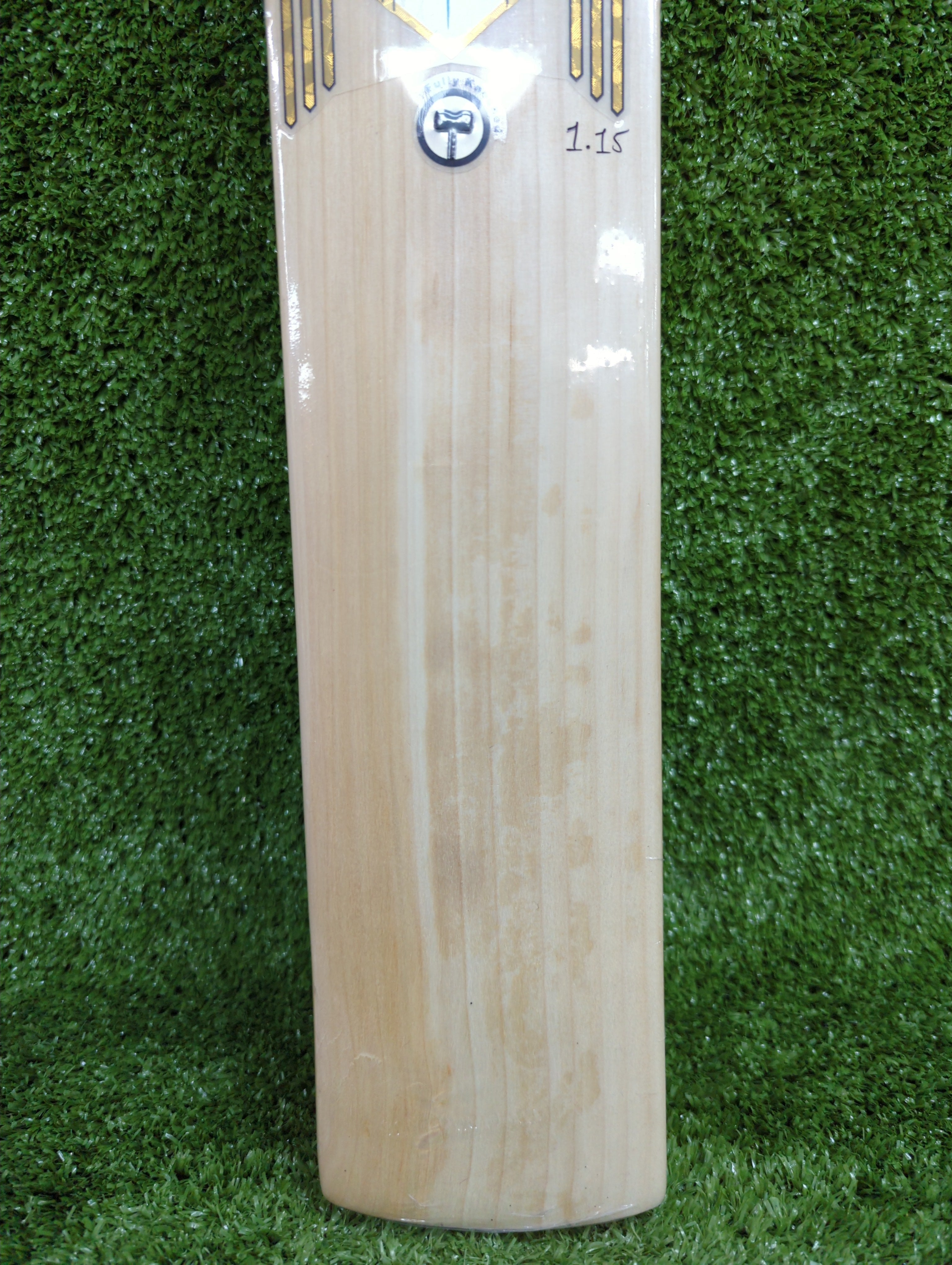 Raydn Gold Junior / Youth Premium English Willow Cricket Bat