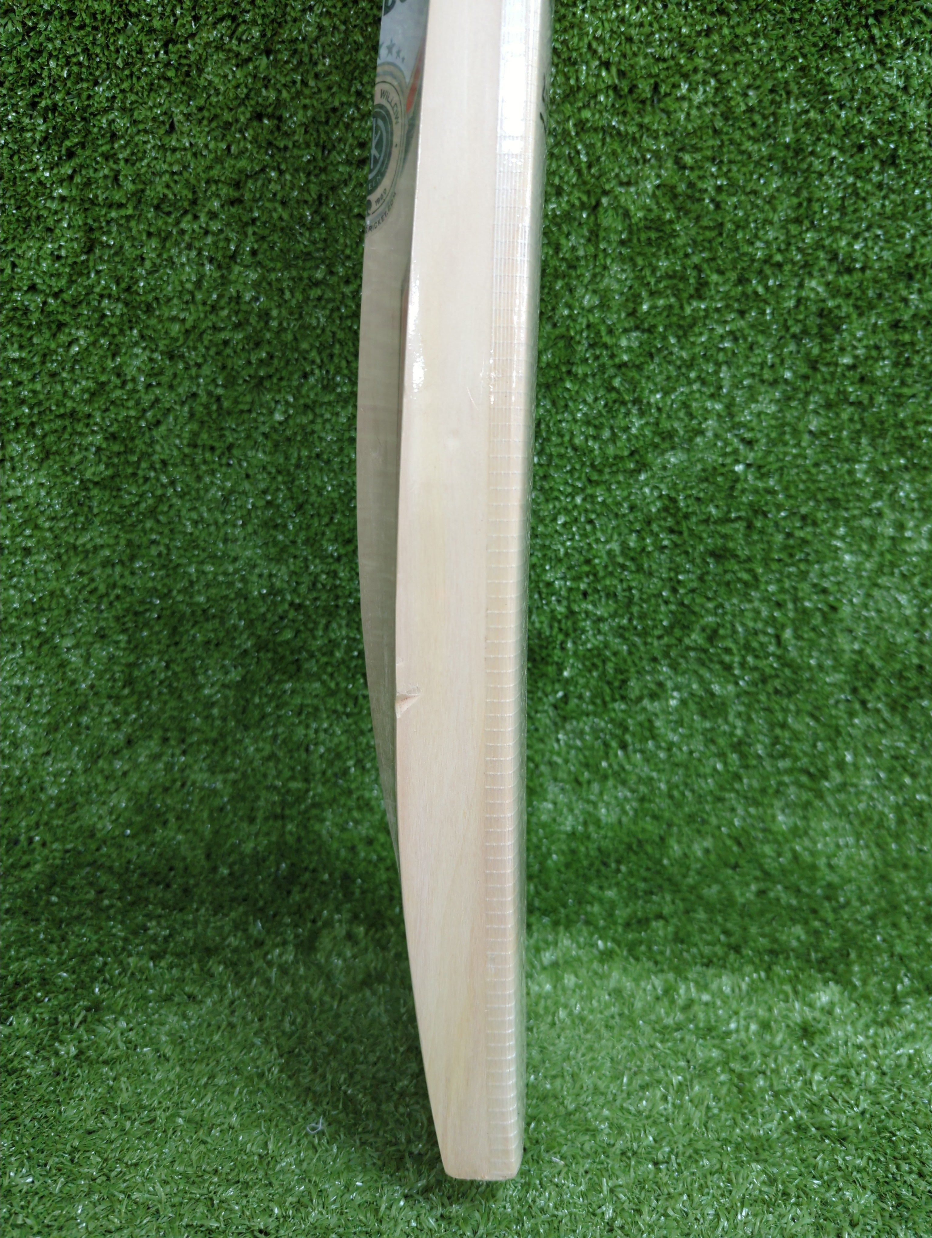 SS Slogger Kashmir Willow Cricket Bat