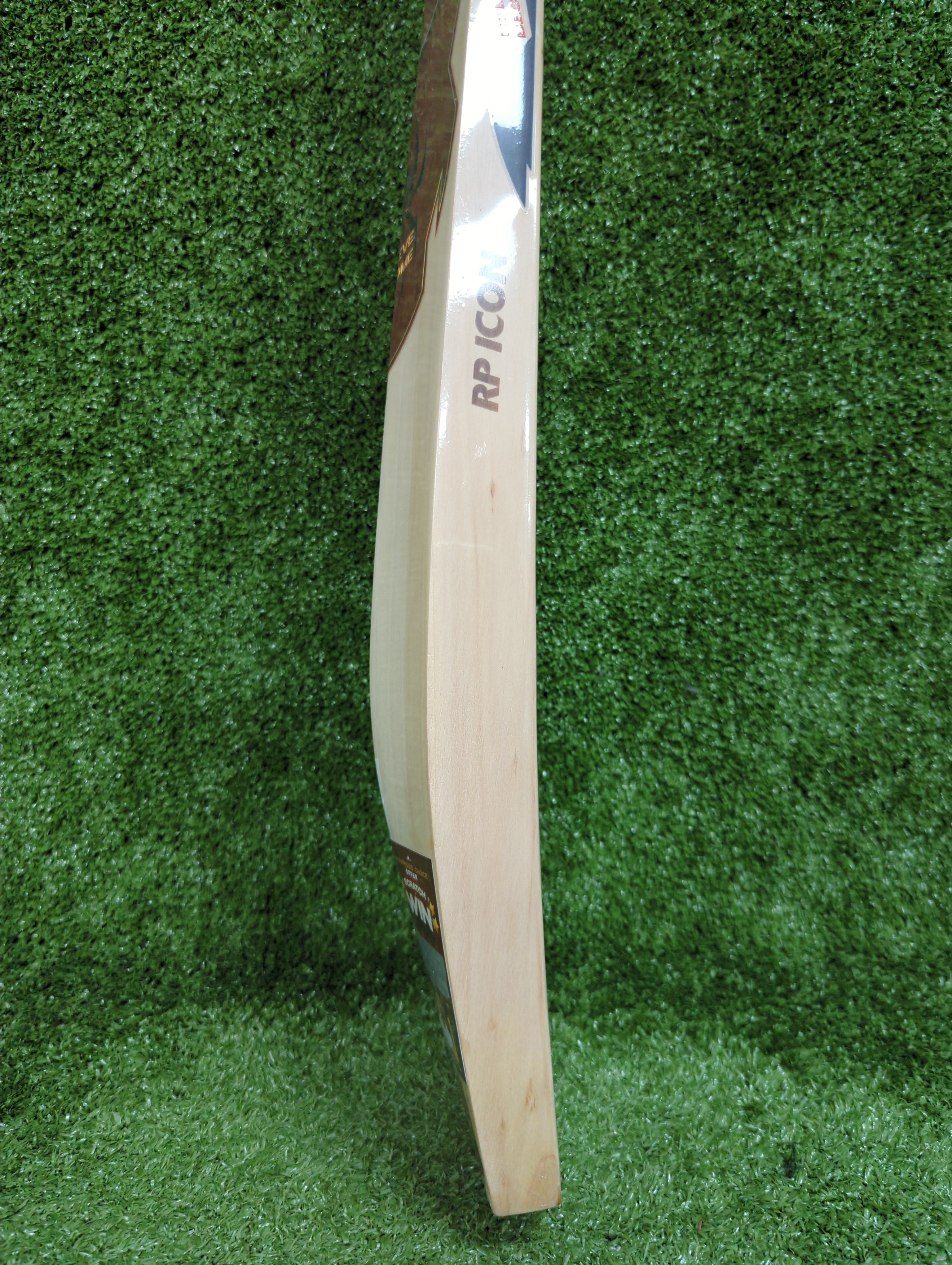 SG RP Icon English Willow Cricket Bat