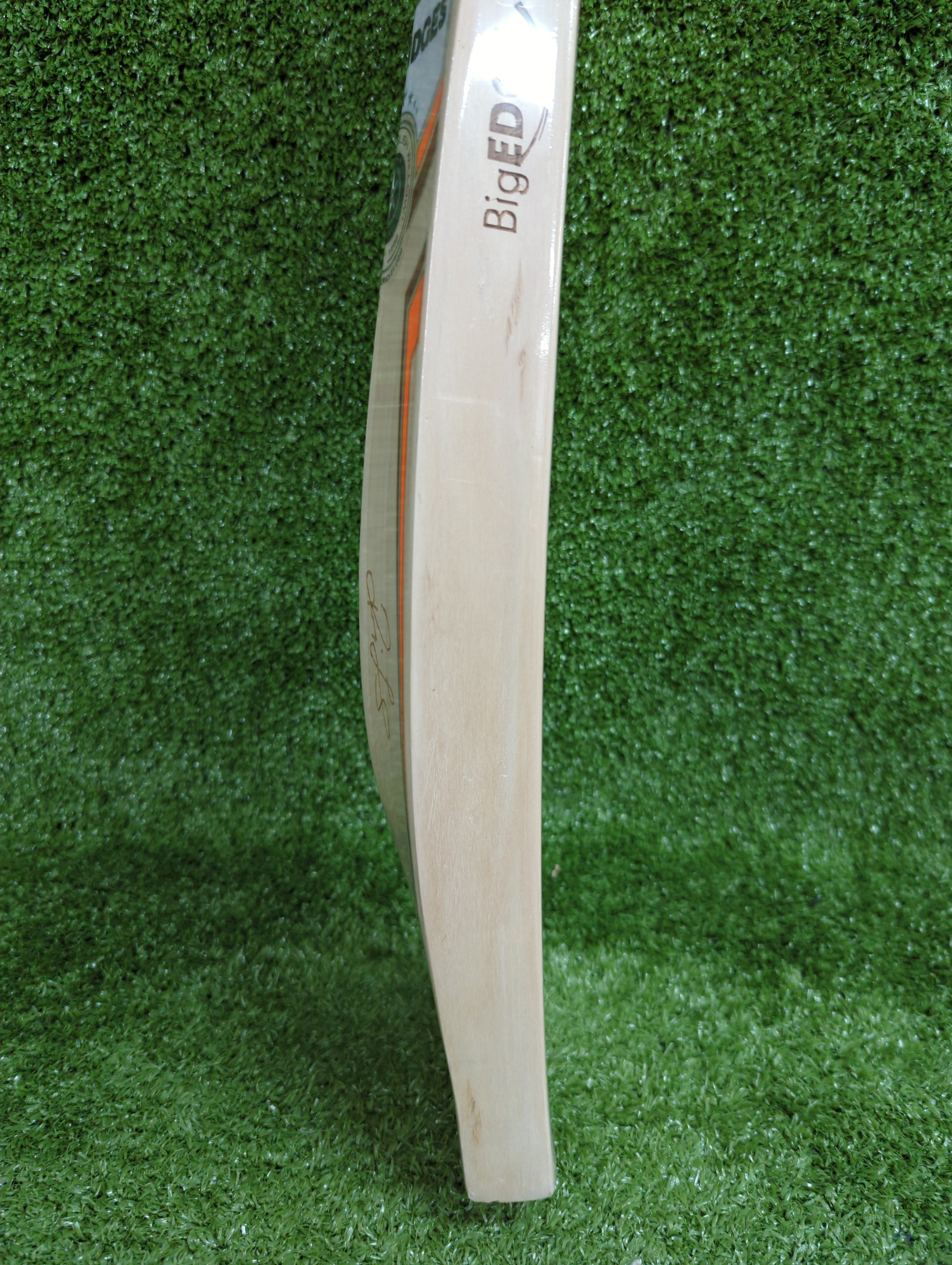 SS Stallion Sword Players 3000 English Willow Cricket Bat - Big Edge