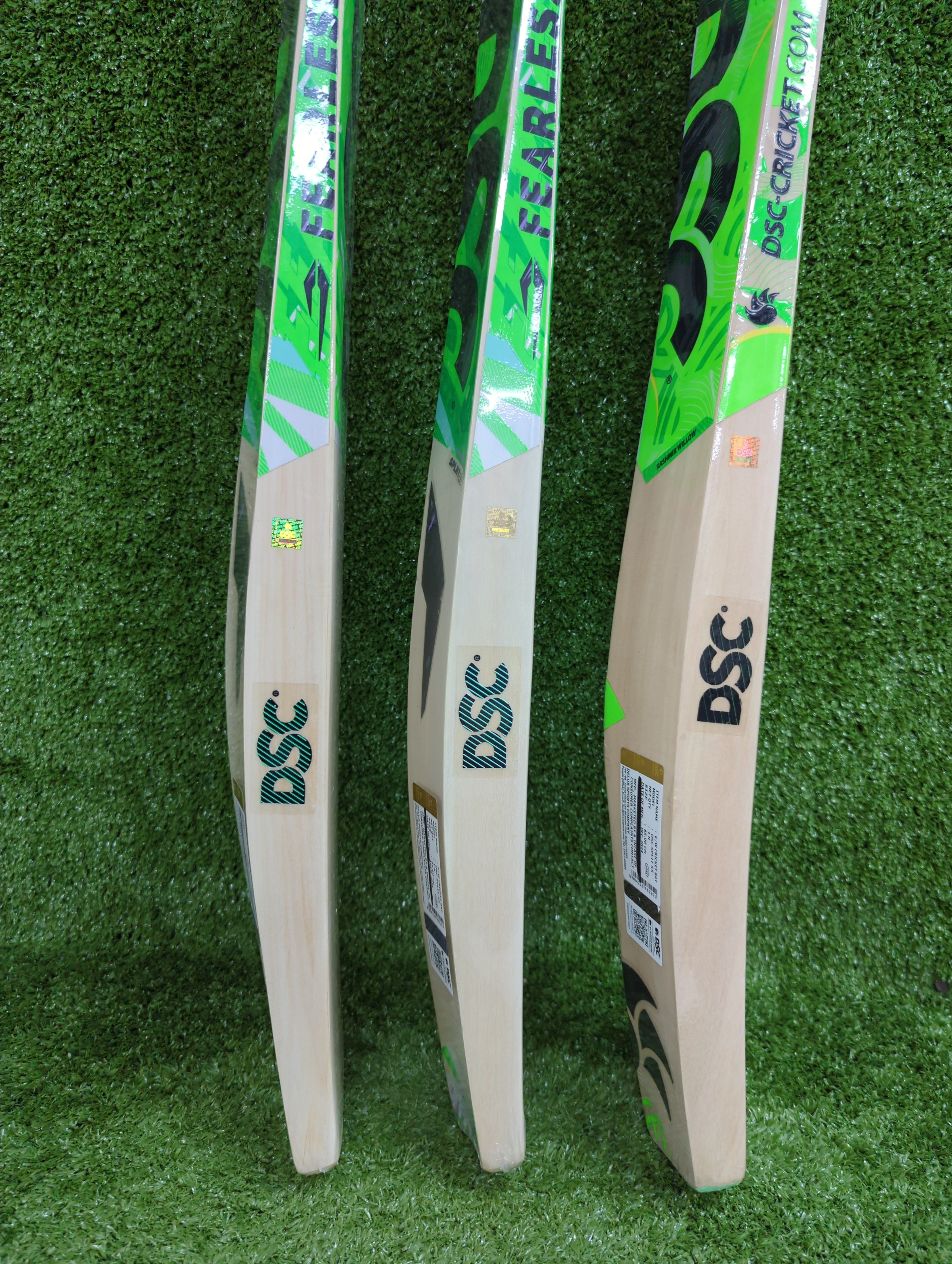 DSC SPLIT 55 Kashmir Willow Cricket Bat