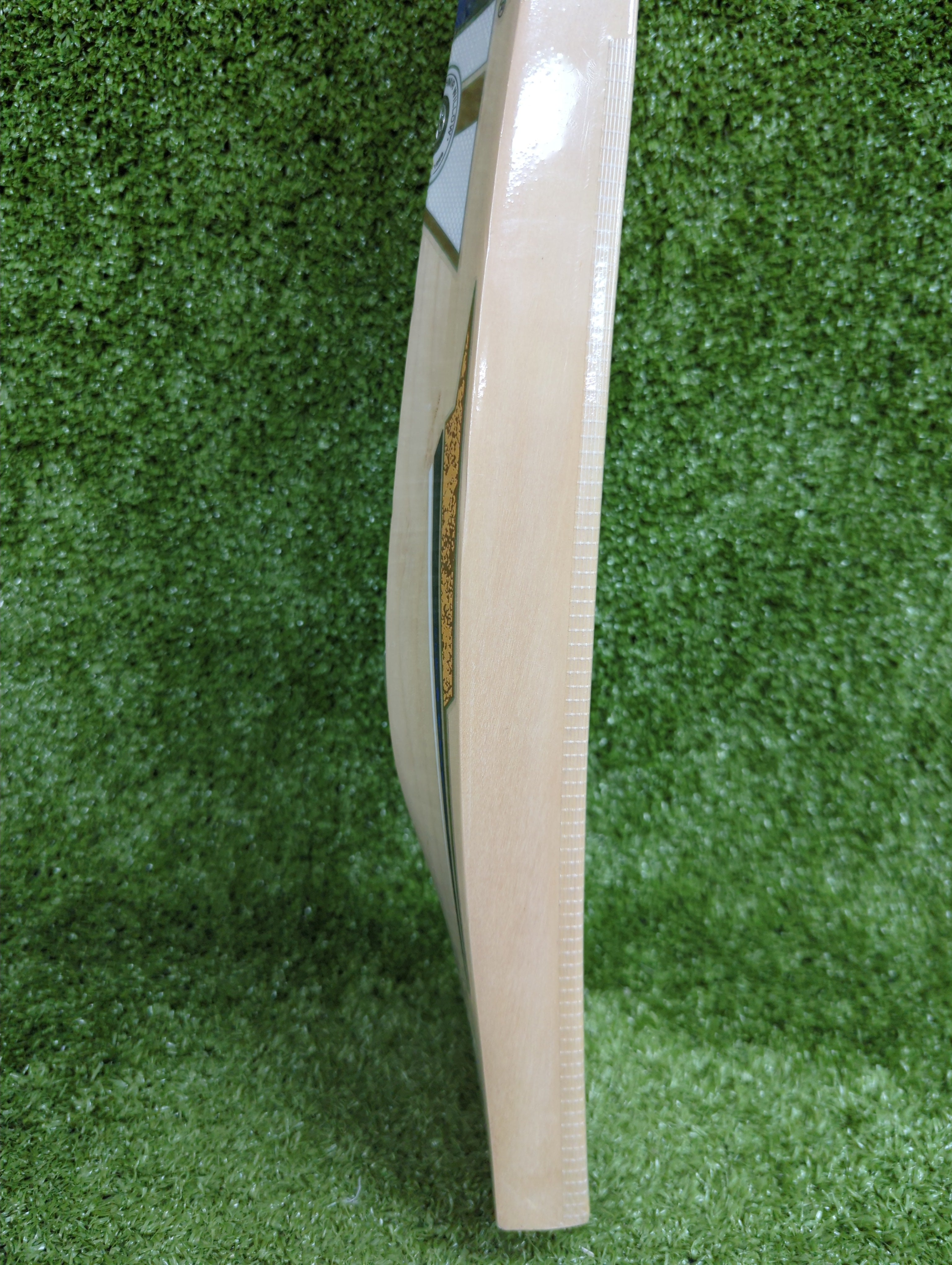 SS TON Dhoni Players Premium Kashmir Willow Cricket Bat