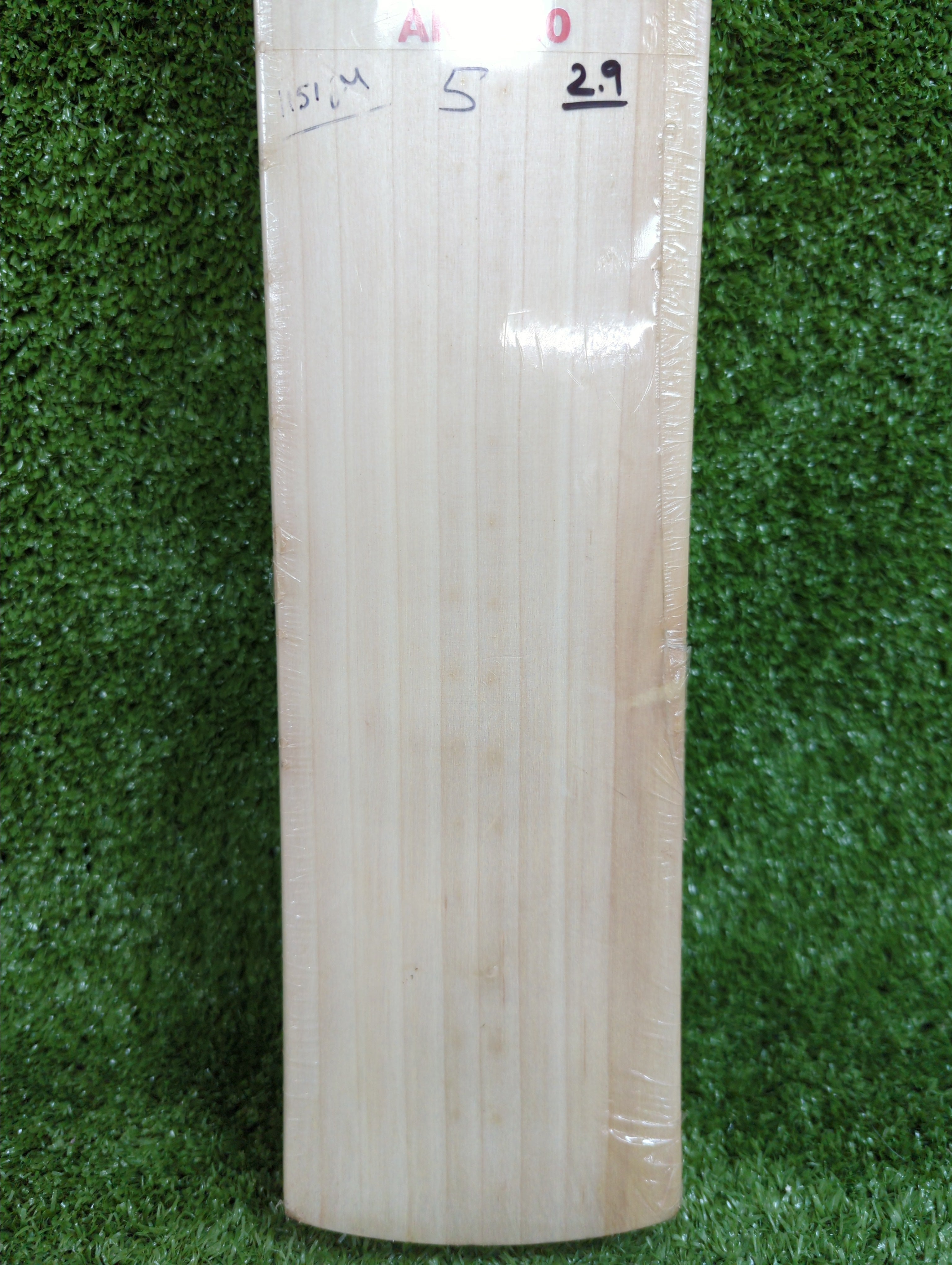 SG Sunny Tonny Arc 2.0 English Willow Cricket Bat