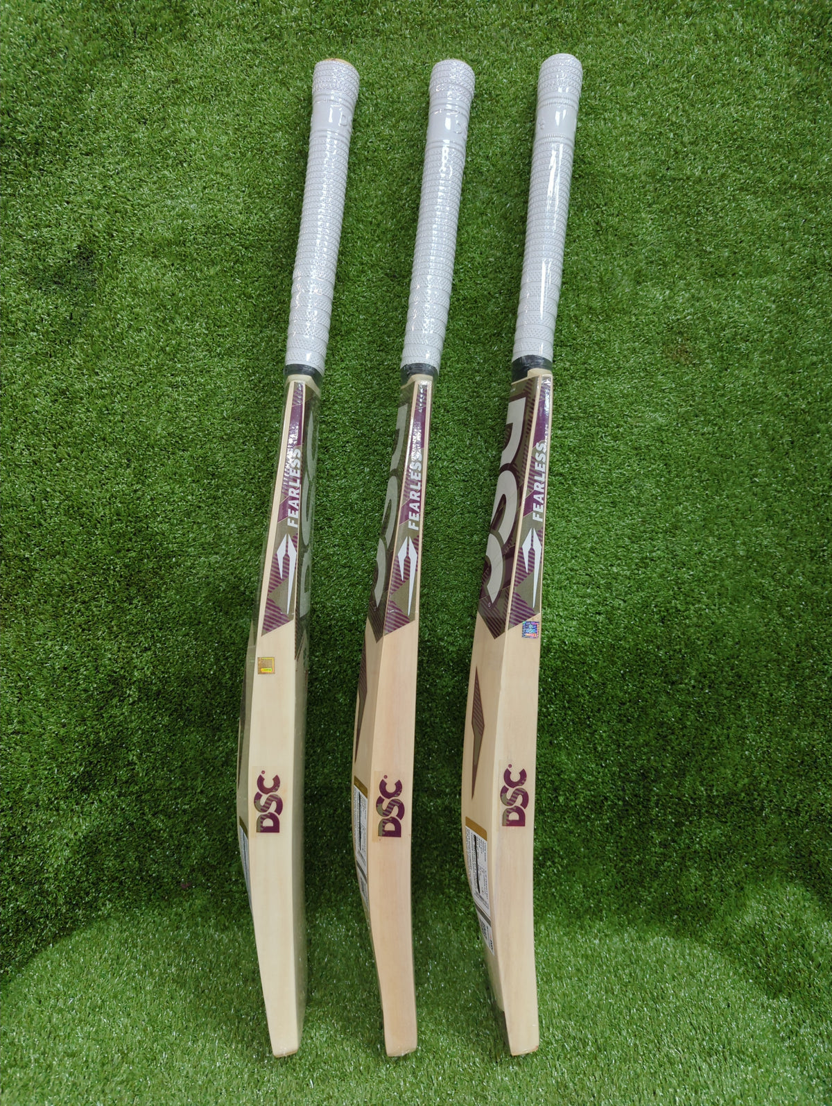 DSC Condor Scud Junior / Youth Kashmir Willow Cricket Bat DSC