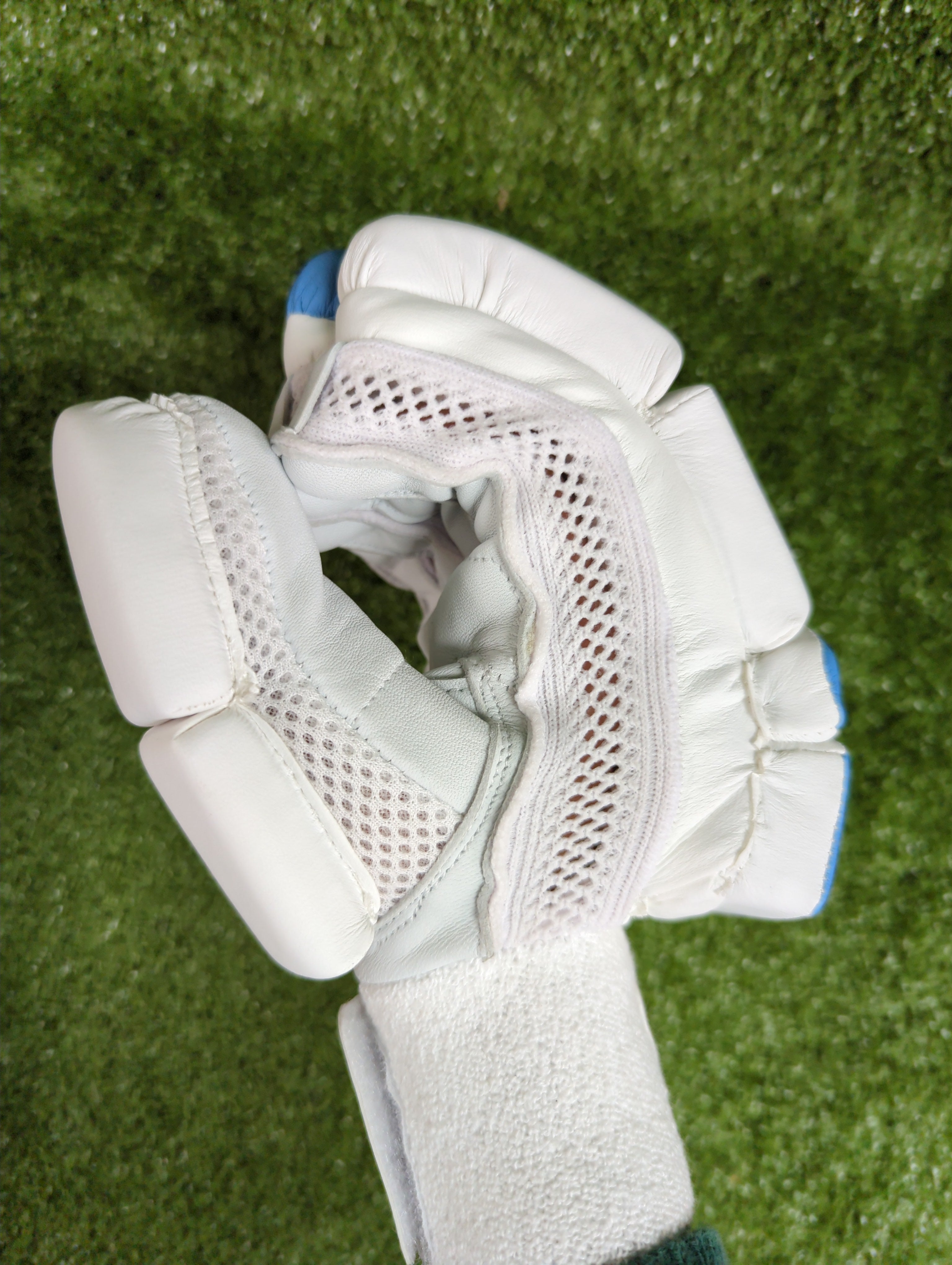 Raydn Master Junior / Youth Cricket Batting Gloves