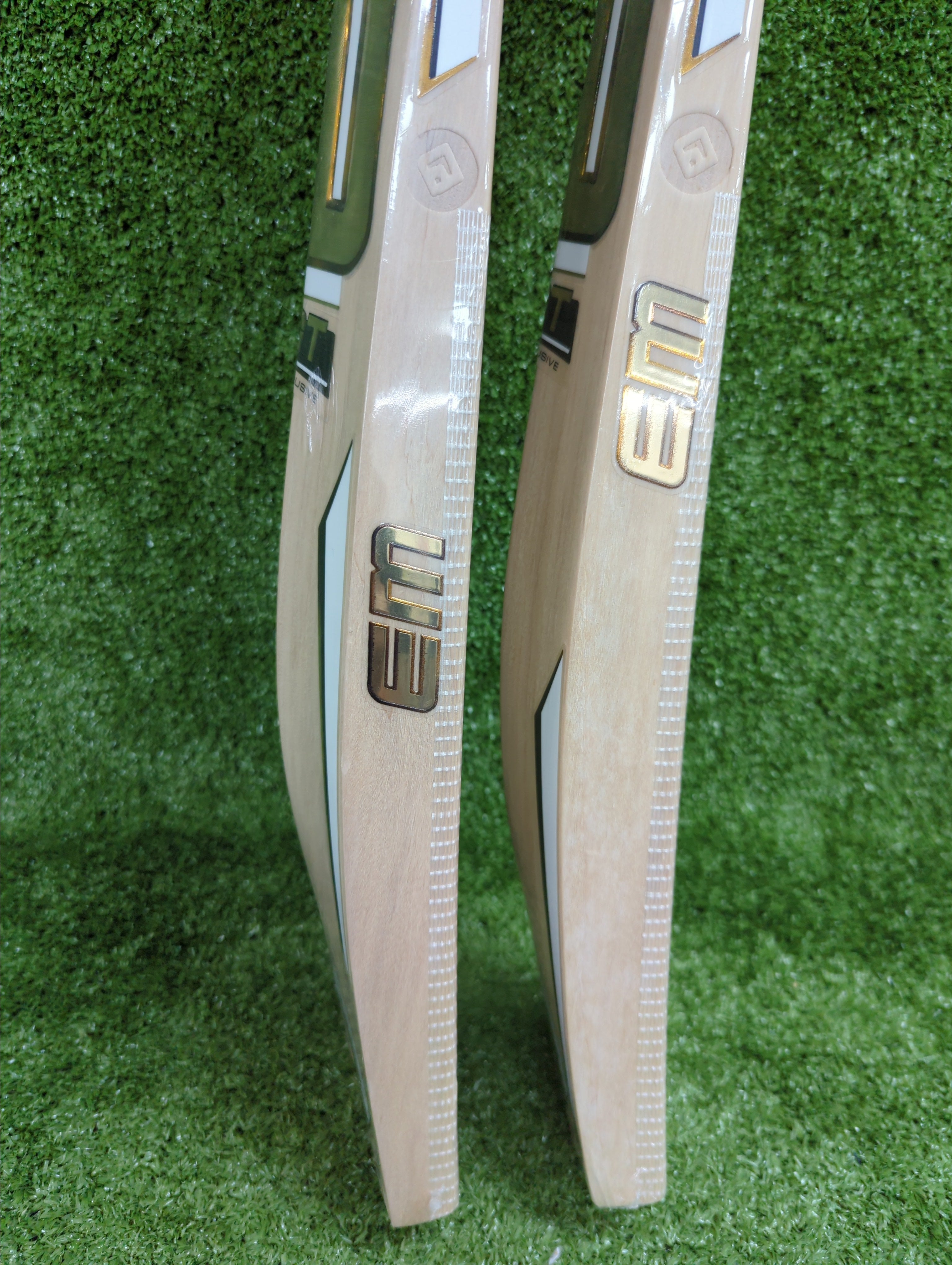 EM GT Exclusive Elite Leather Ball Selected Willow Cricket Bat by EM - packaging view - TopCricketStore