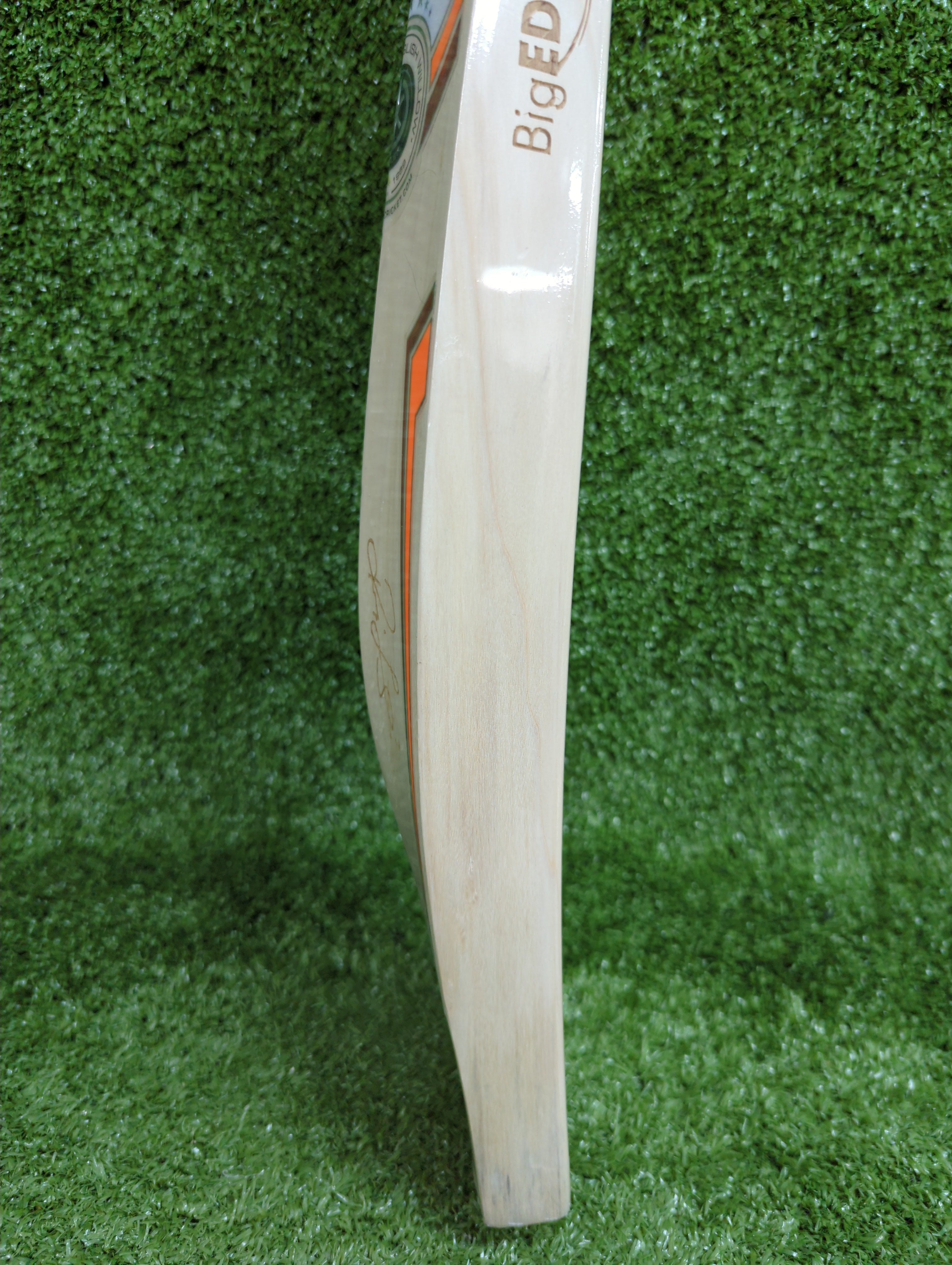 SS Stallion Sword Players 2000 English Willow Cricket Bat - Big Edge